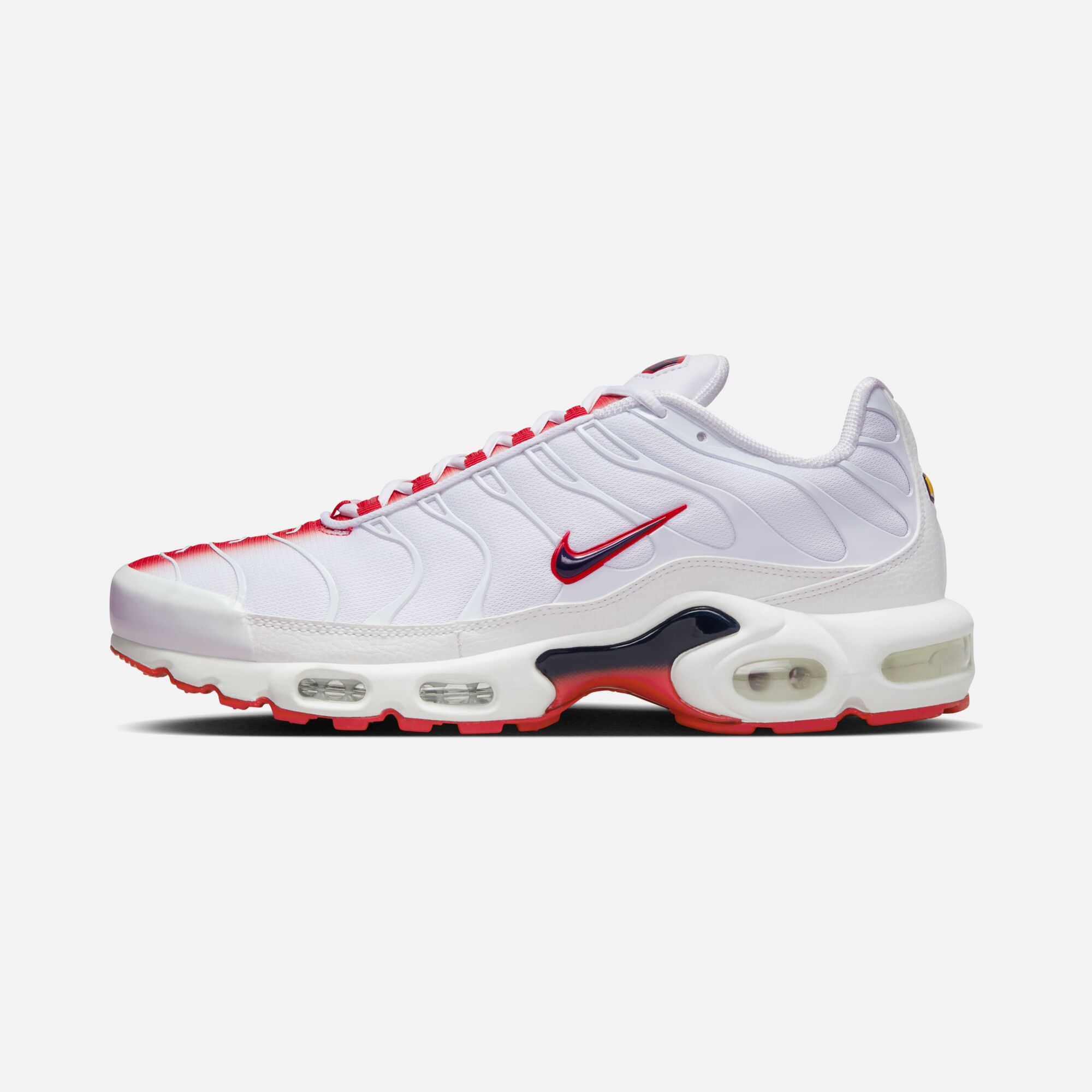 Nike Air Max Plus SS23 Erkek Spor Ayakkabı