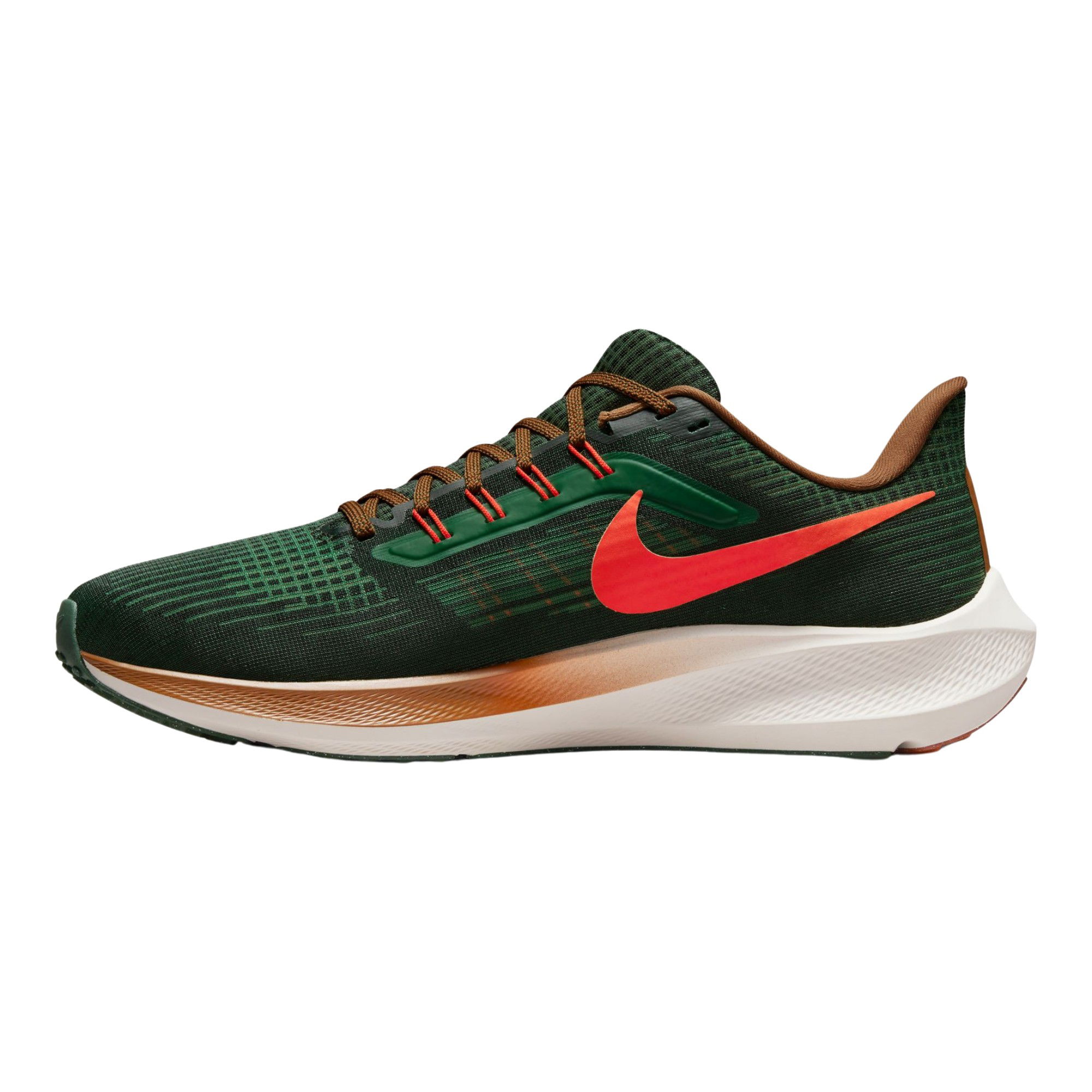 Nike Pegasus 39 A.I.R. Hola Lou Road Running Erkek Spor Ayakkabı
