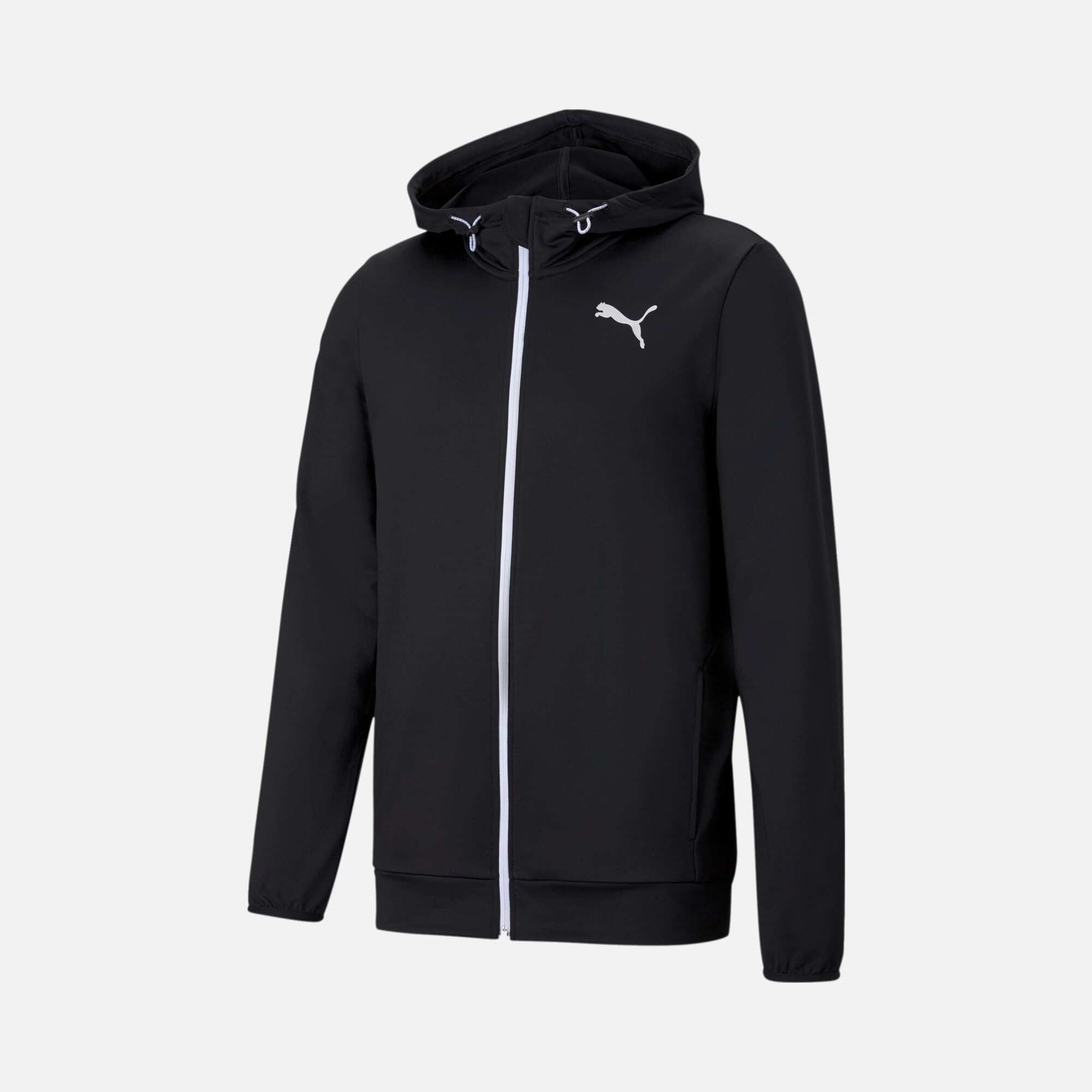 Puma RTG Full-Zip Hoodie Erkek Sweatshirt