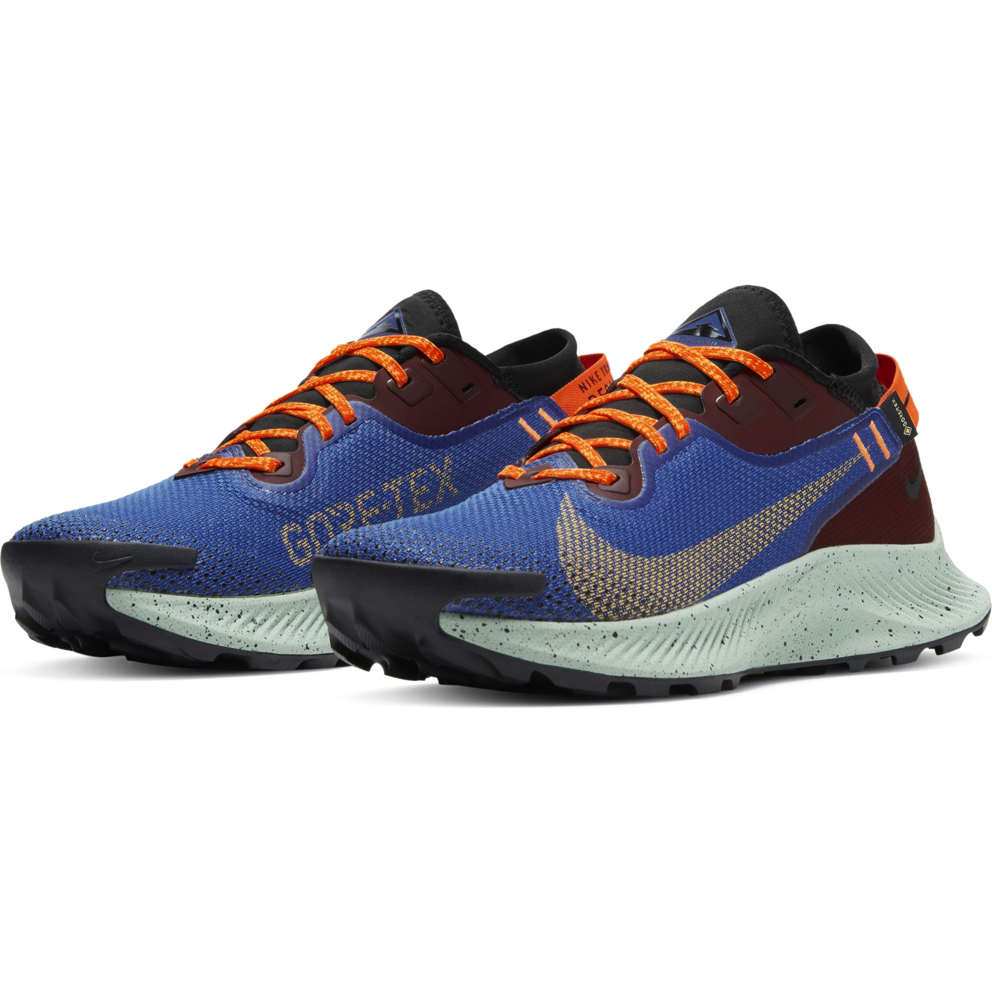 Nike Pegasus Trail 2 Gore-Tex Kadın Spor Ayakkabı