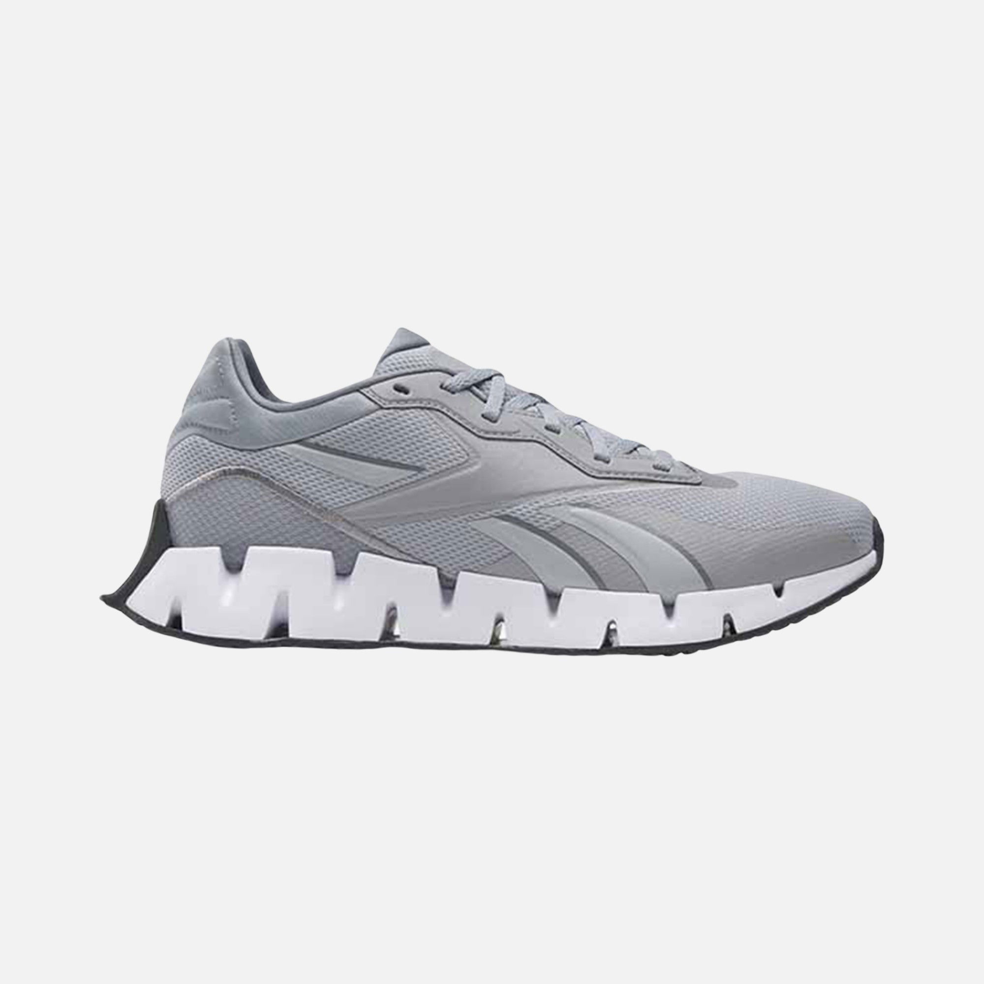 Reebok Run Zig Dynamica 4 Running FW23 Erkek Spor Ayakkabı