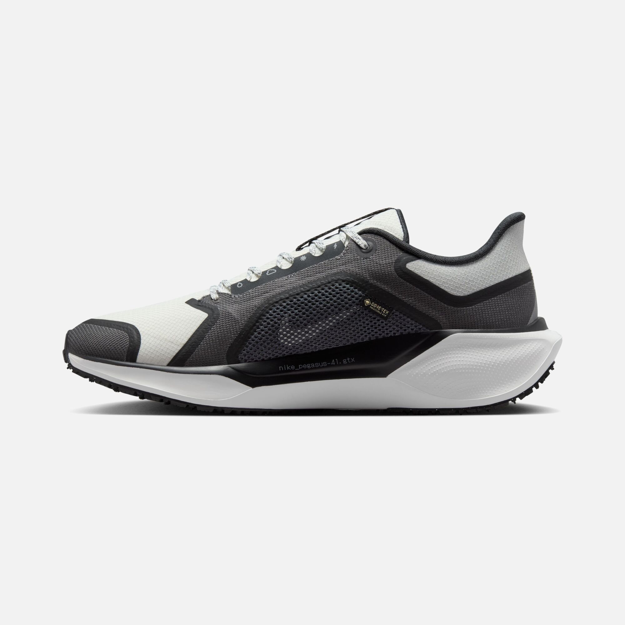 Nike Pegasus 41 Gore-Tex Waterproof Road Running Erkek Spor Ayakkabı