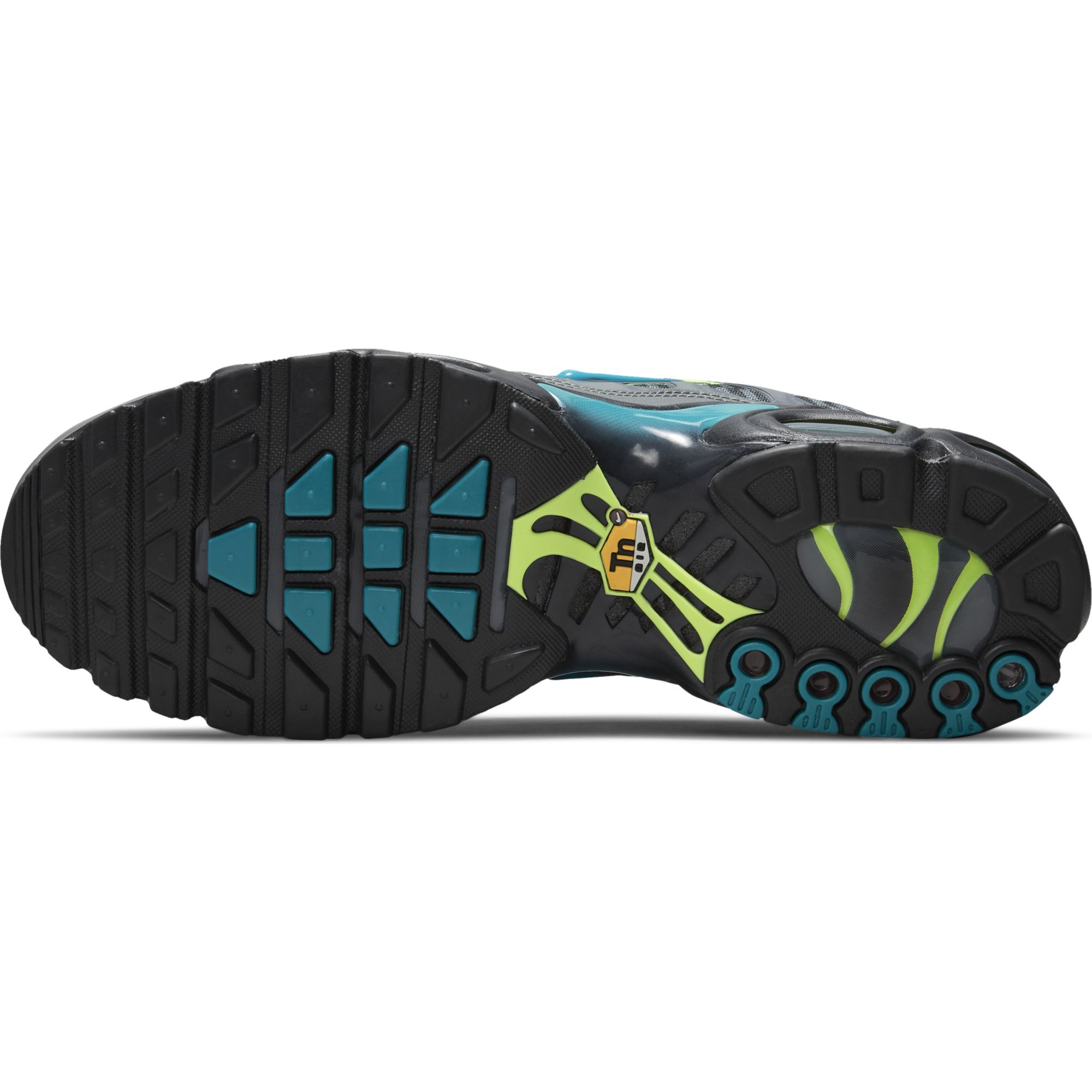 Nike Air Max Plus '21 Erkek Spor Ayakkabı