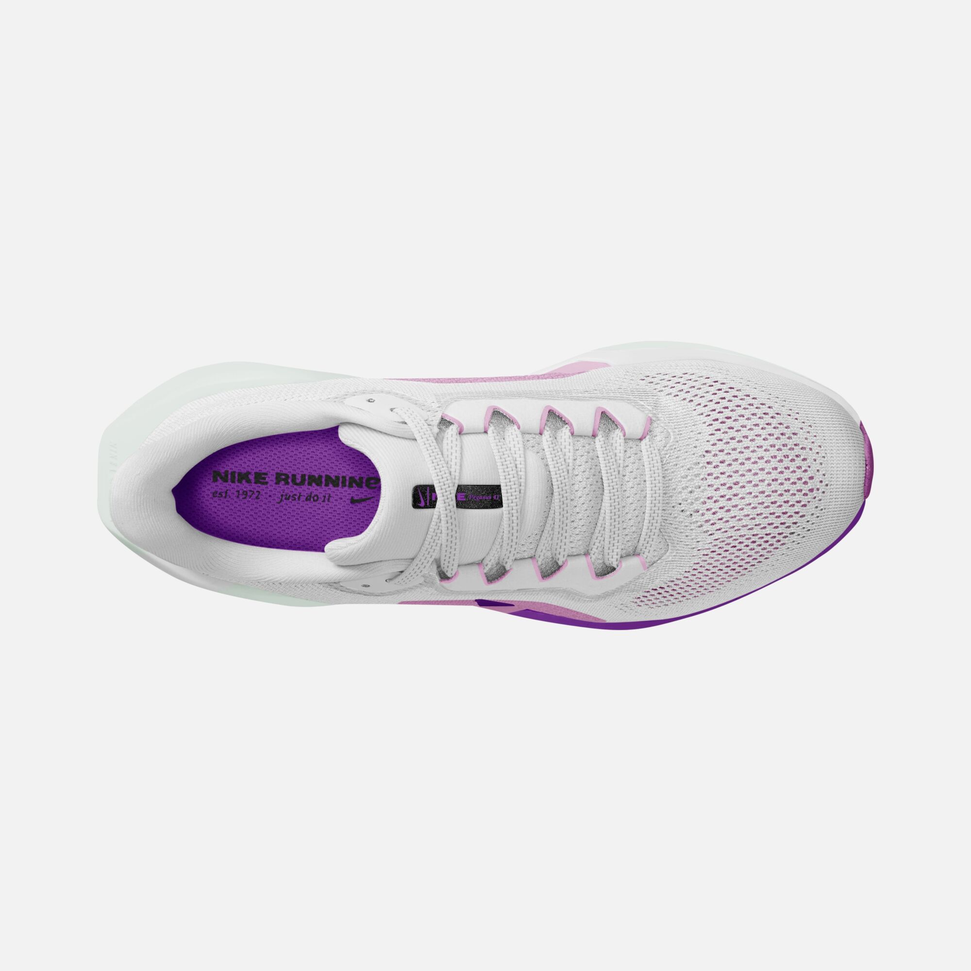 Nike Air Zoom Pegasus 41 Road Running Kadın Spor Ayakkabı