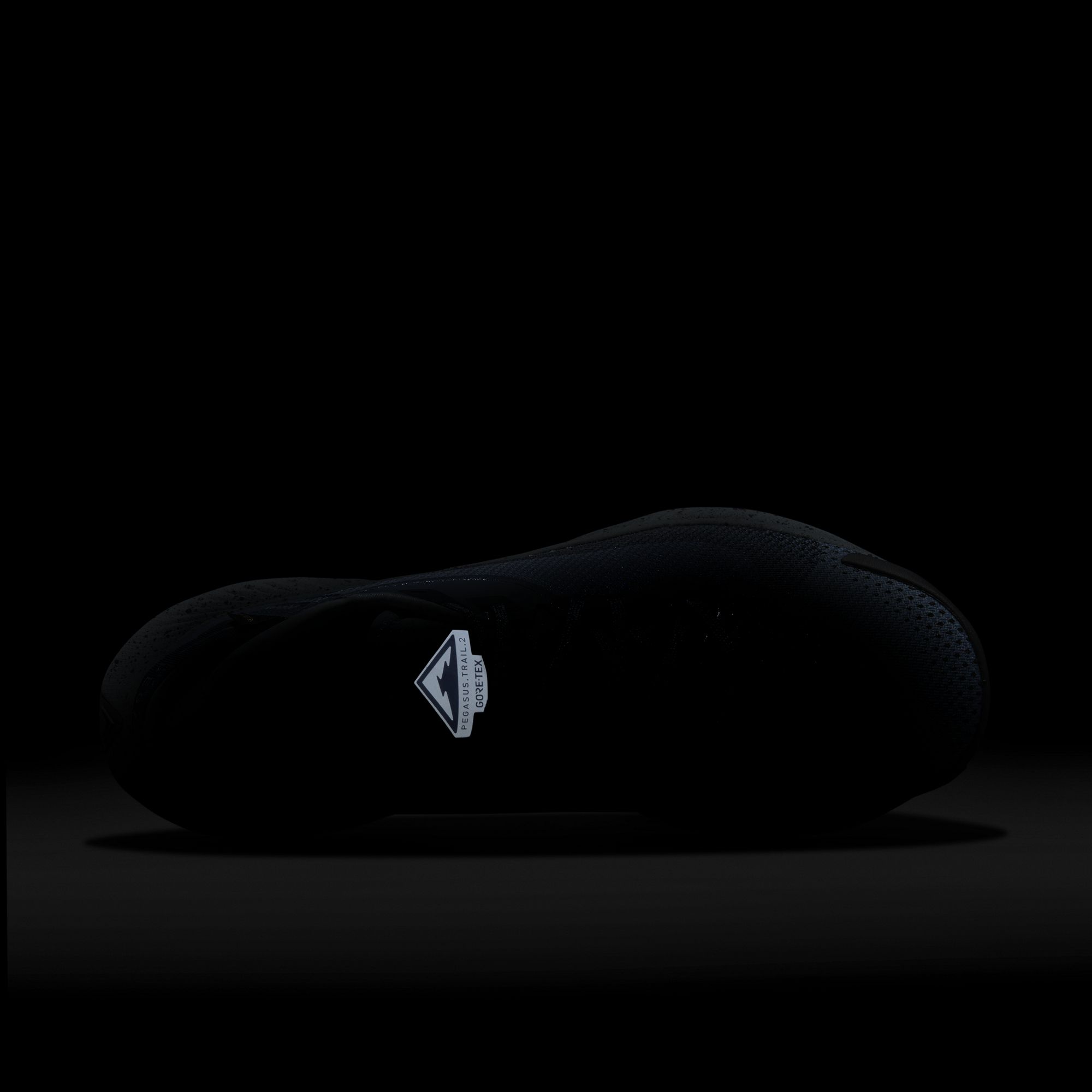 Nike Pegasus Trail 2 Gore-Tex Running Erkek Spor Ayakkabı