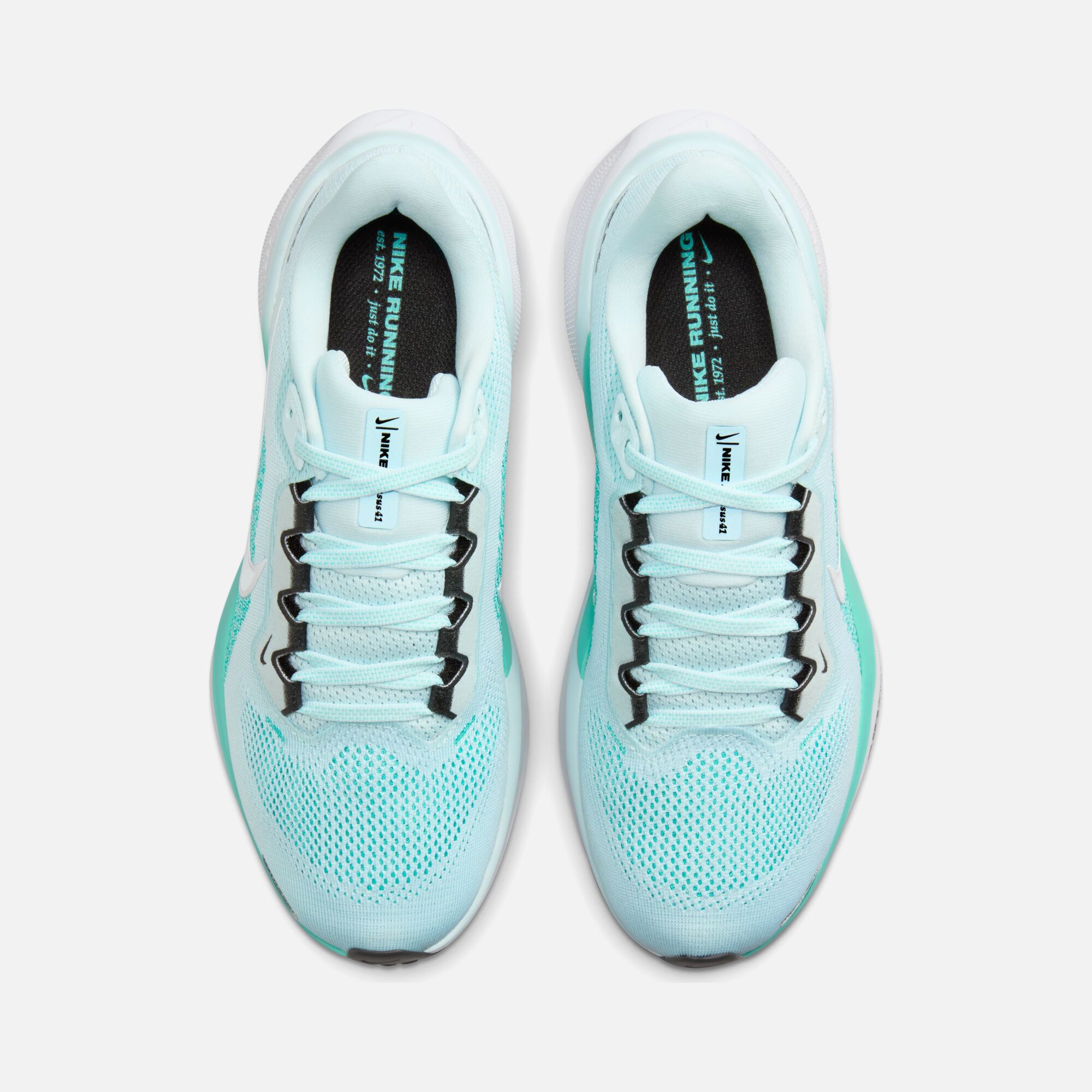 Nike Air Zoom Pegasus 41 Road Running Kadın Spor Ayakkabı