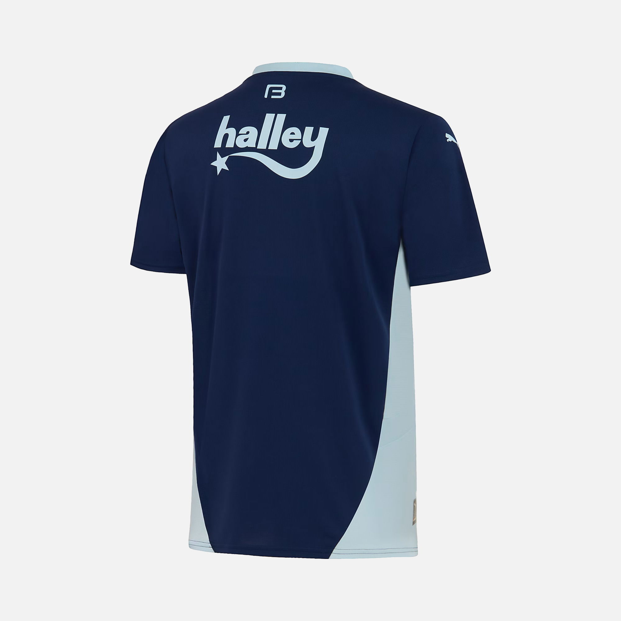 Puma Fenerbahçe 2024-2025 Stadium Üçüncü Takım Erkek Forma