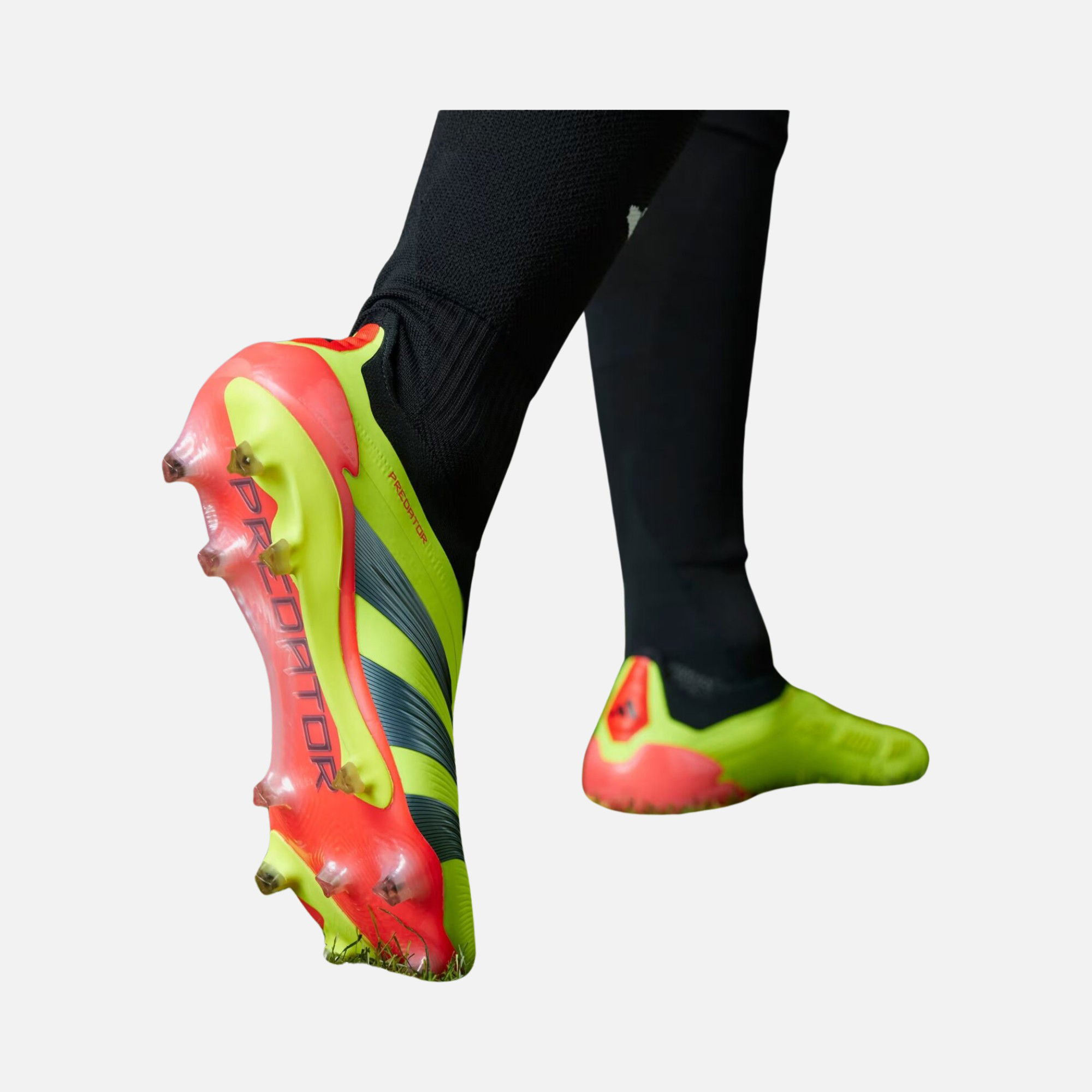 adidas Predator Elite Ll FG Erkek Krampon