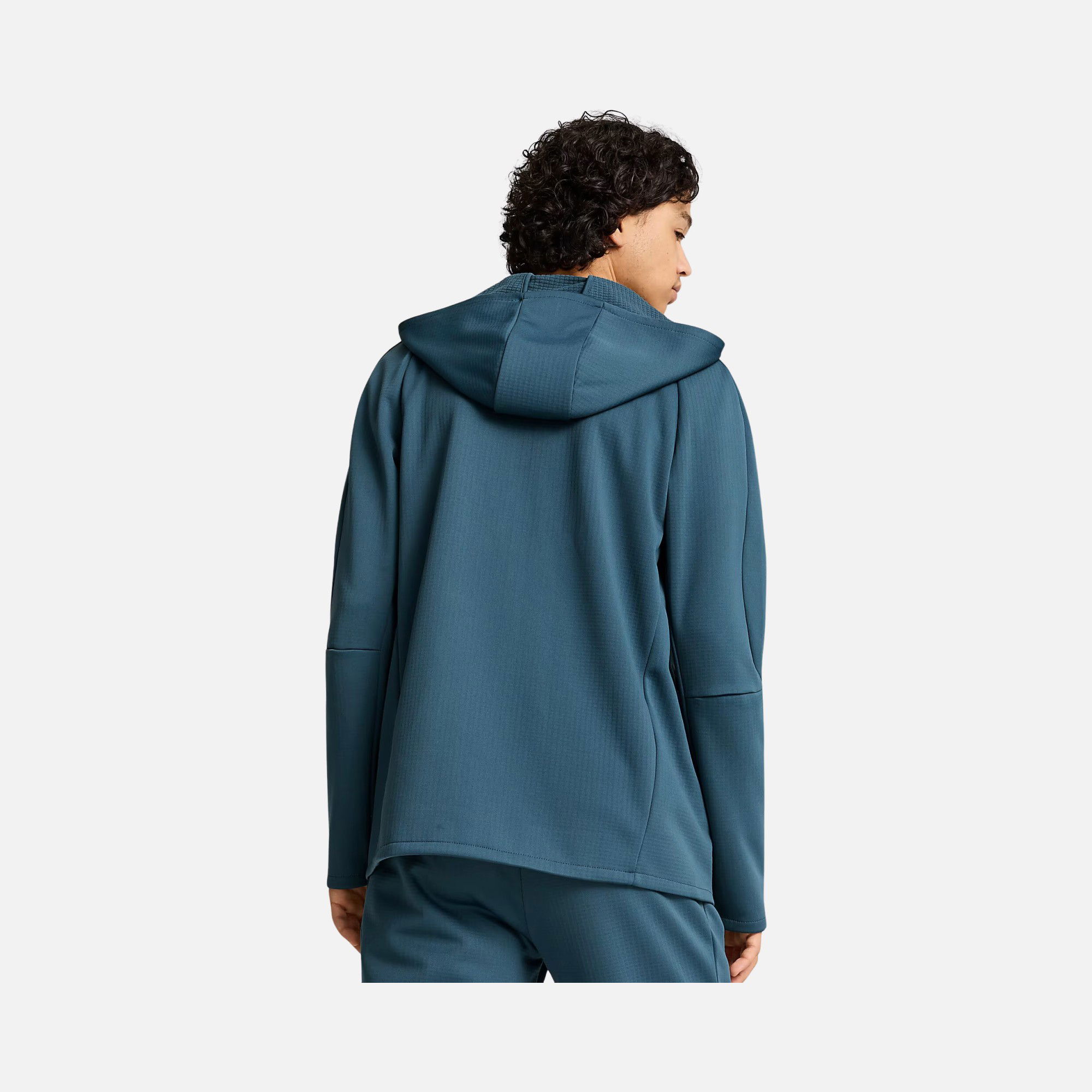 Puma Sportswear Evostripe FW24 Full-Zip Hoodie Erkek Sweatshirt