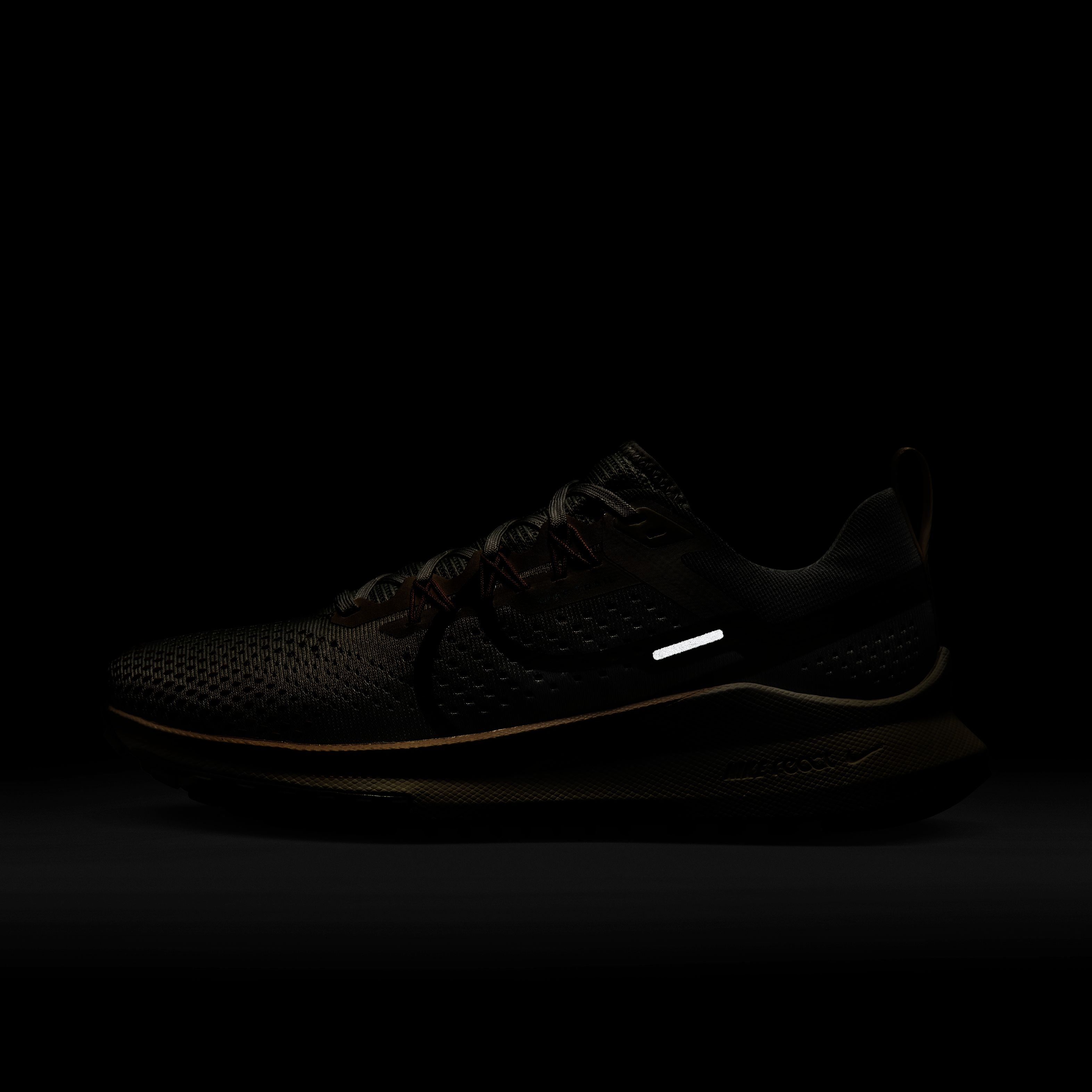 Nike Pegasus Trail 4 Trail-Running Kadın Spor Ayakkabı