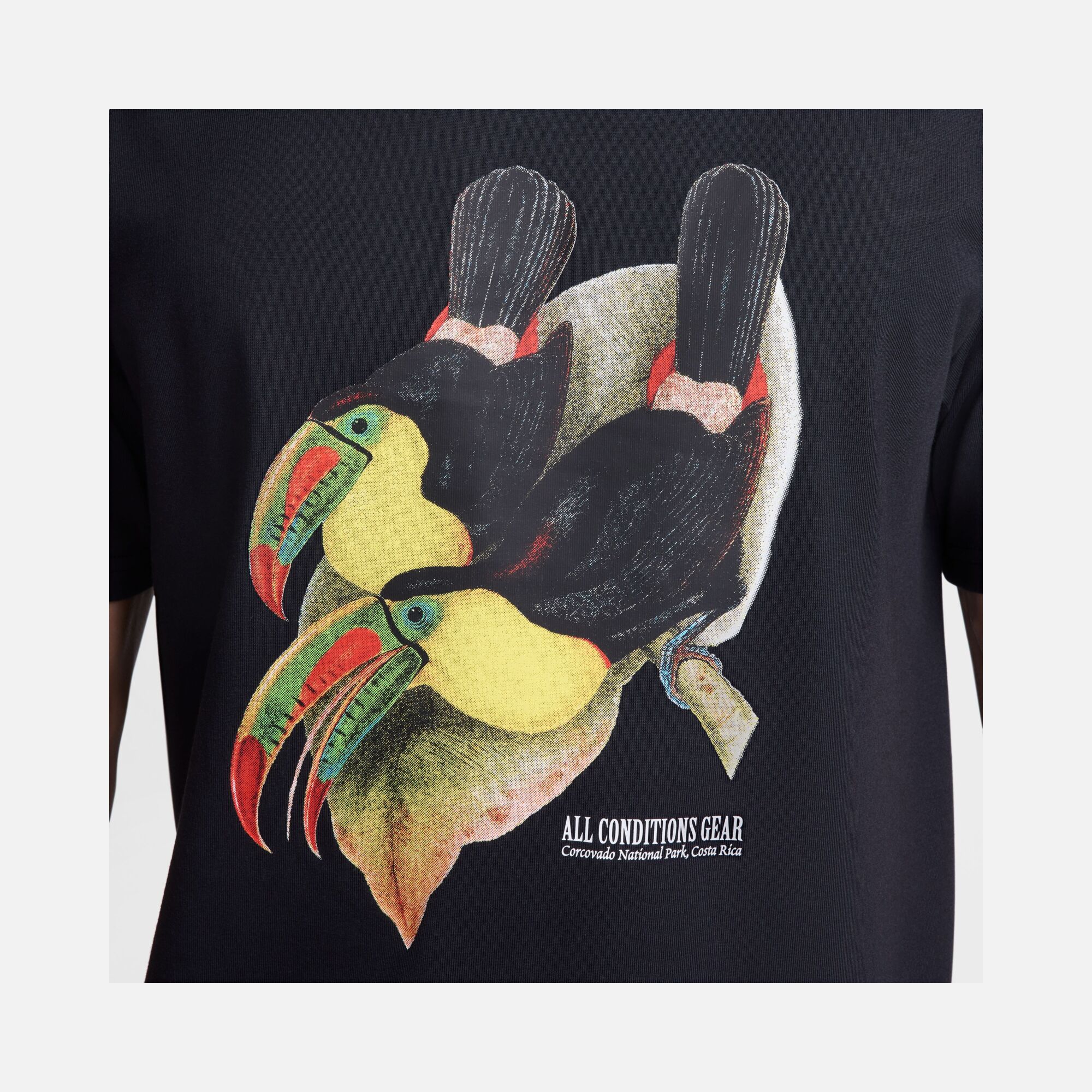 Nike Sportswear ACG Toucan Bird Graphic Short-Sleeve Erkek Tişört