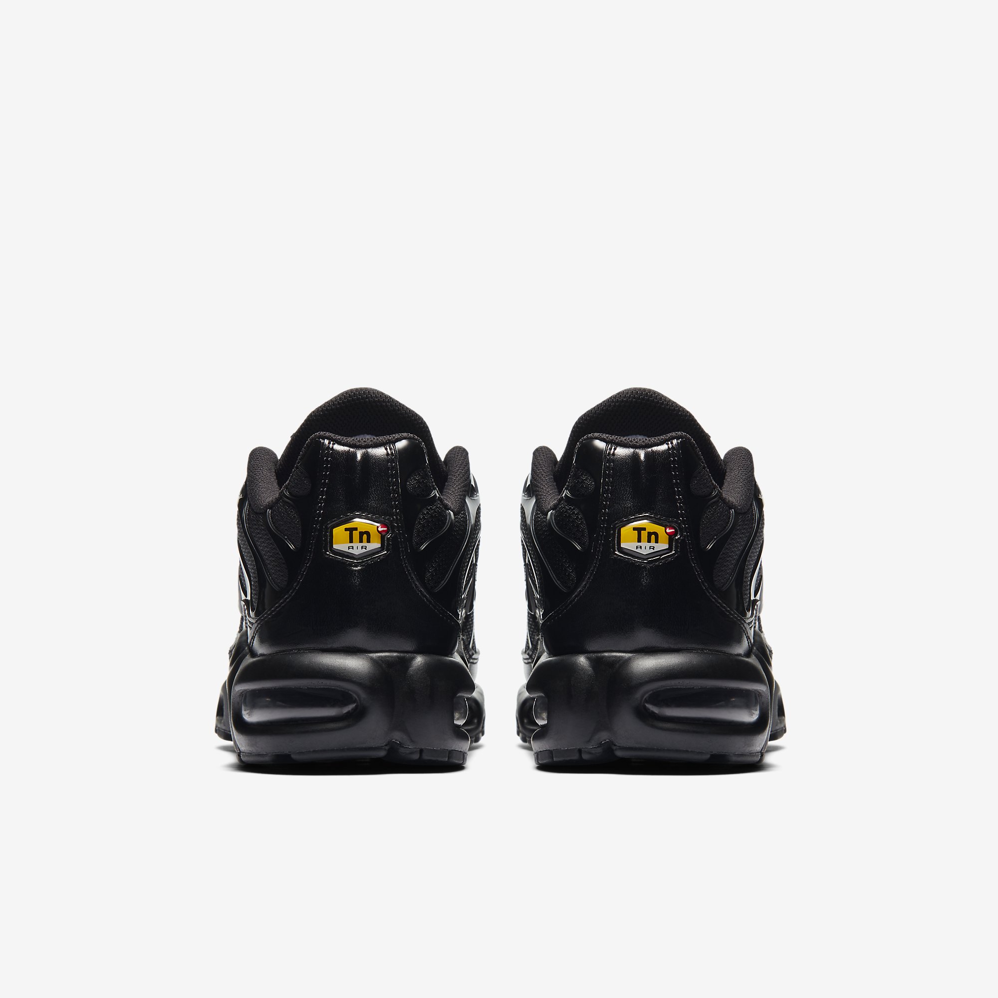 Nike Air Max Plus CO Erkek Spor Ayakkabı