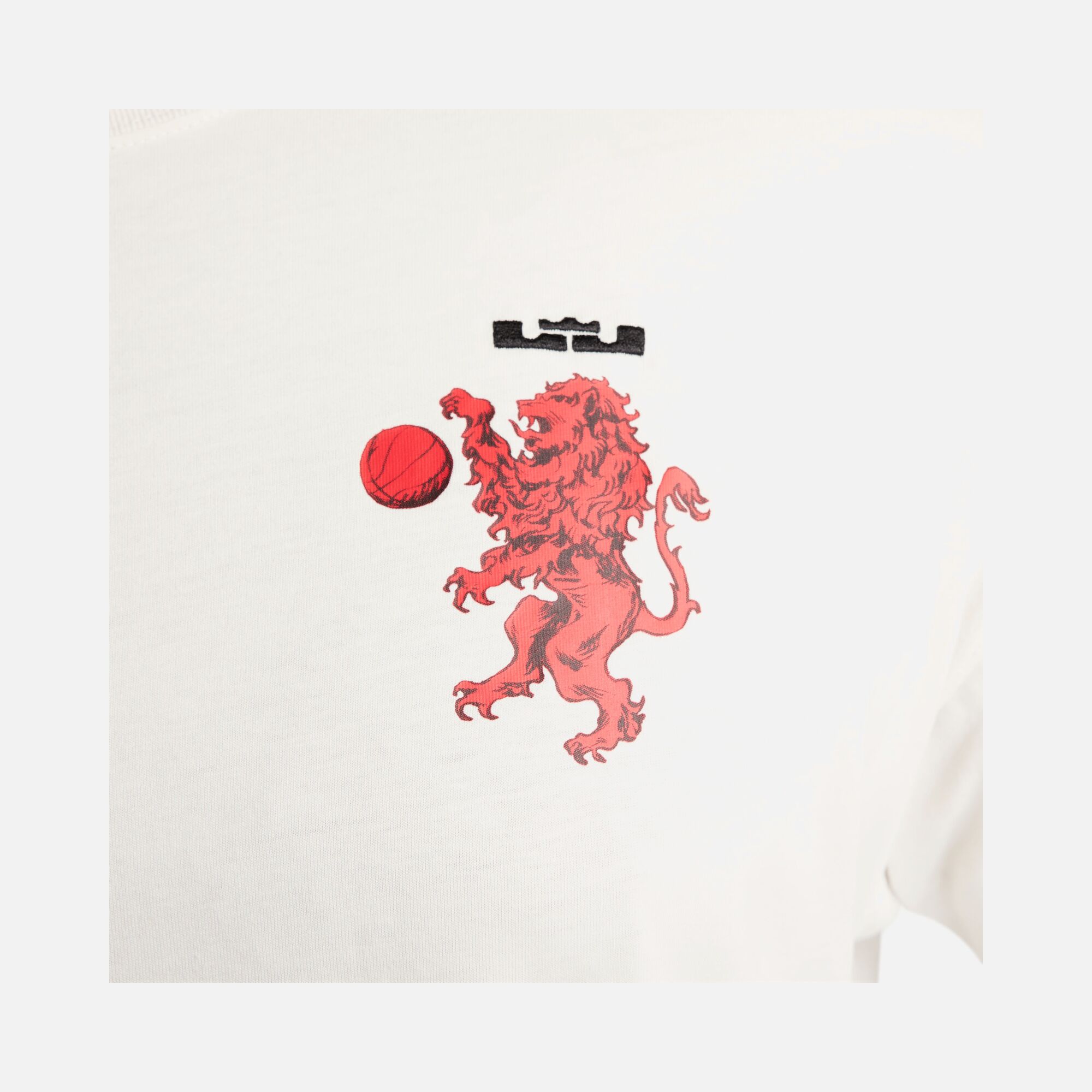 Nike LeBron James M90 Short-Sleeve Erkek Tişört