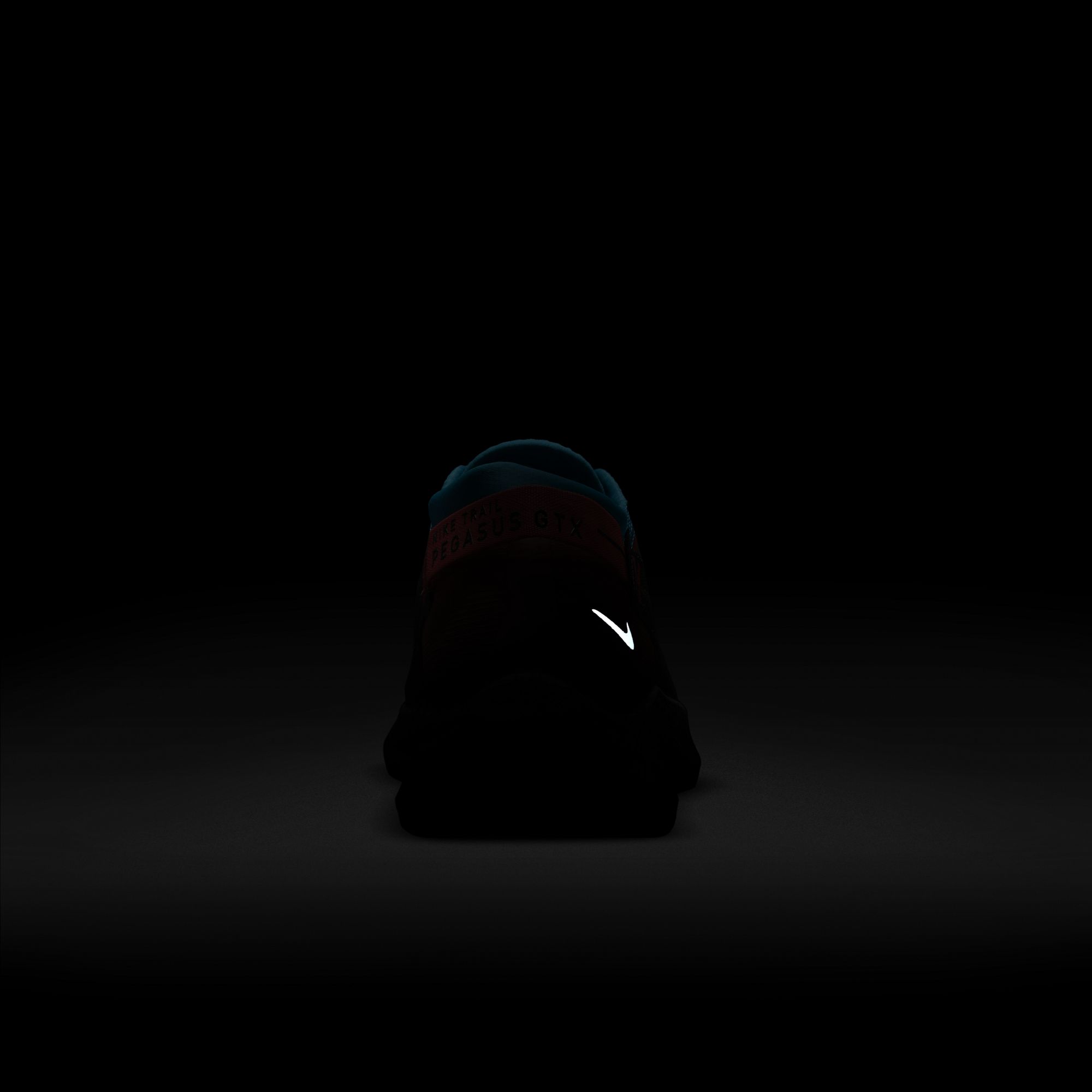 Nike Pegasus Trail 2 Gore-Tex Trail Running Erkek Spor Ayakkabı