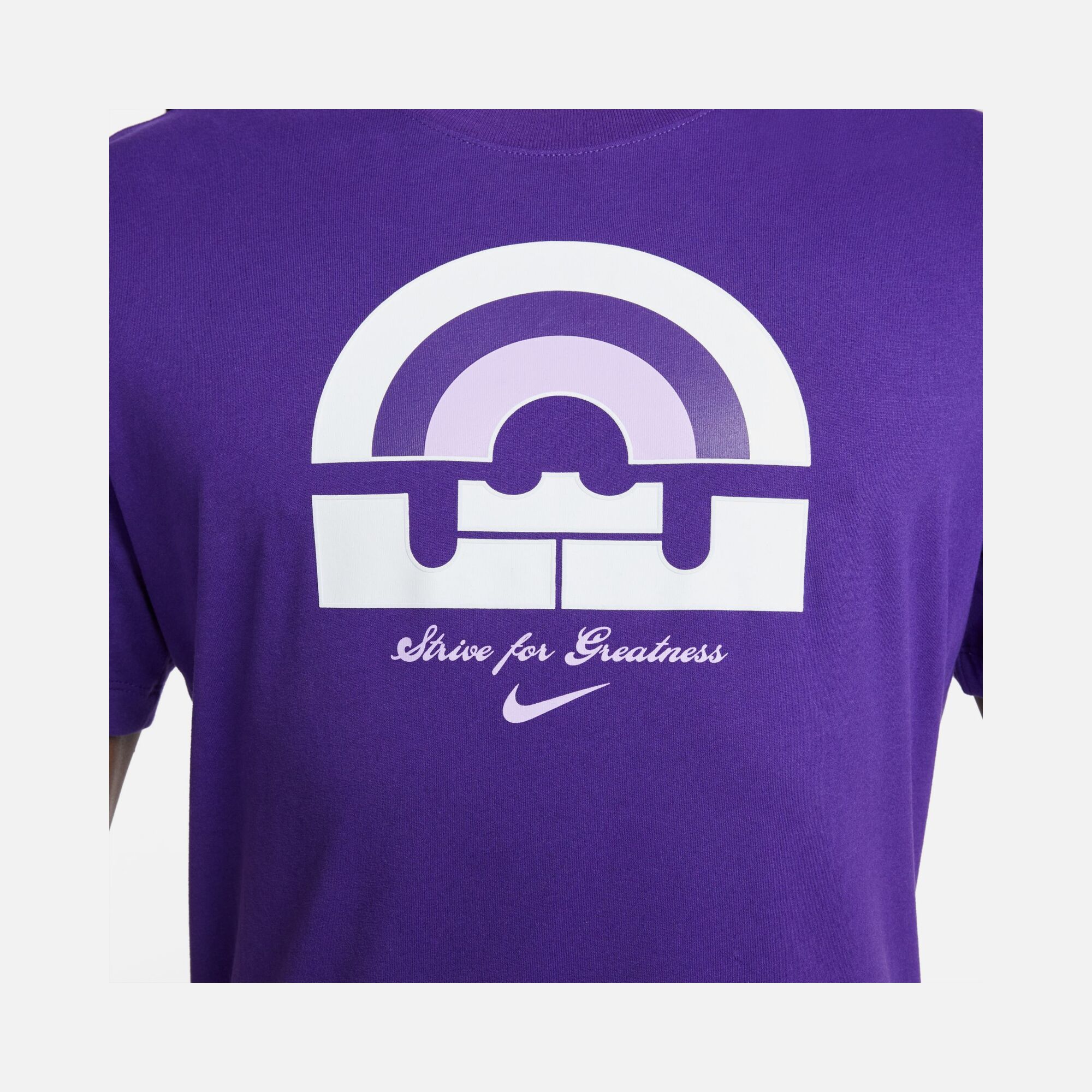 Nike Dri-Fit LeBron Basketball Short-Sleeve Erkek Tişört