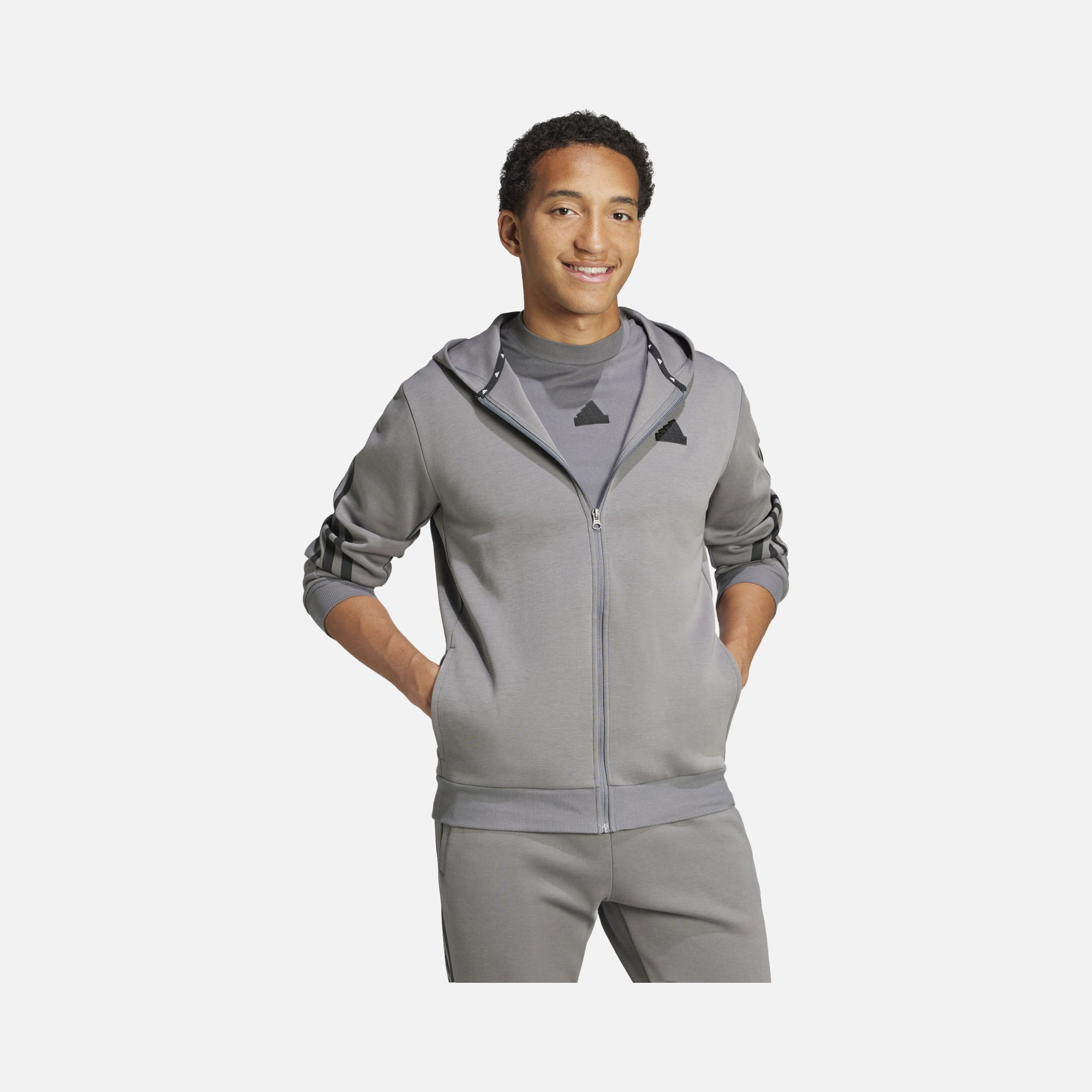adidas Future Icons 3-Stripes Full-Zip Hoodie Erkek Sweatshirt
