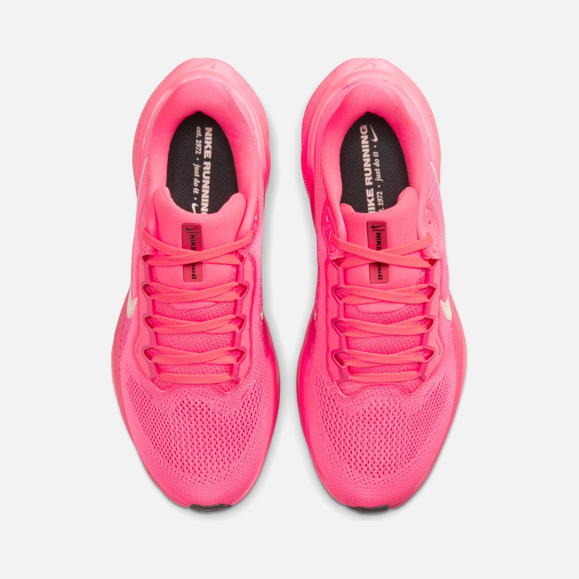 Nike Air Zoom Pegasus 41 Road Running Kadın Spor Ayakkabı