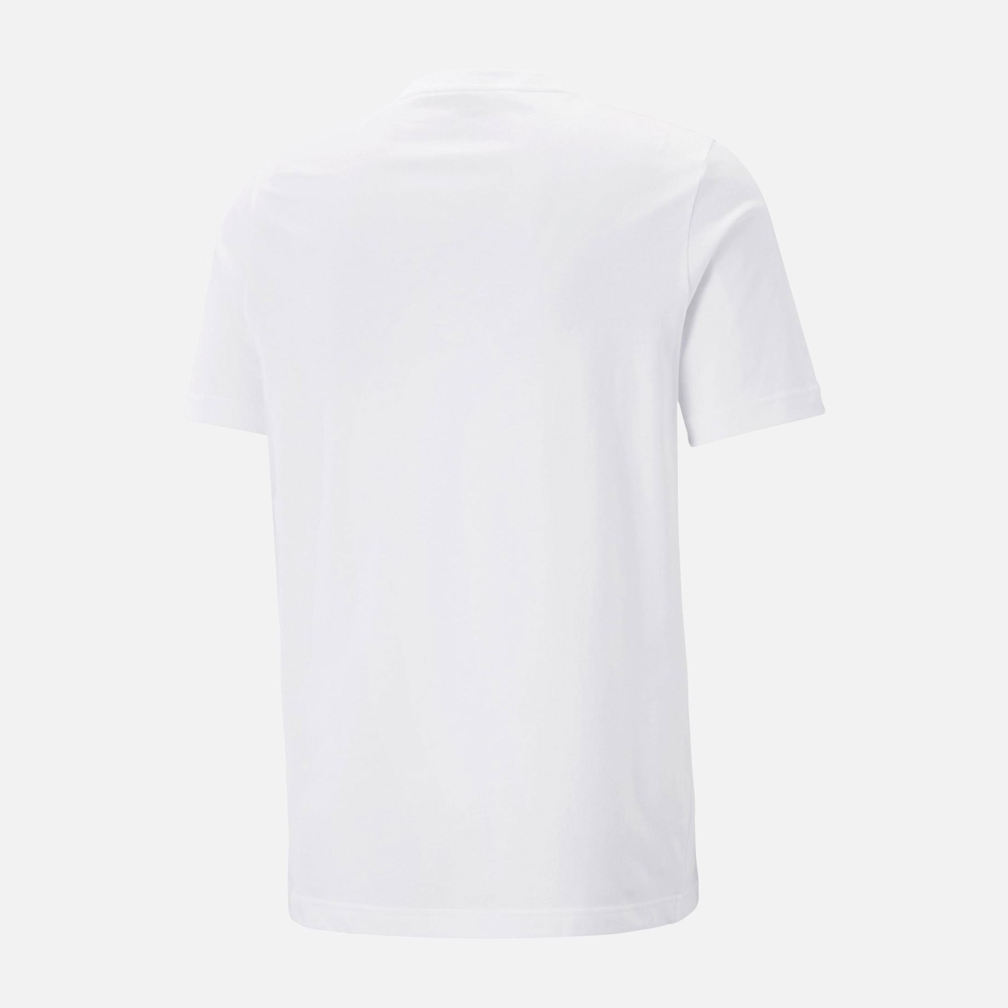 Puma Sportswear Summer Logo Graphics Short-Sleeve Erkek Tişört