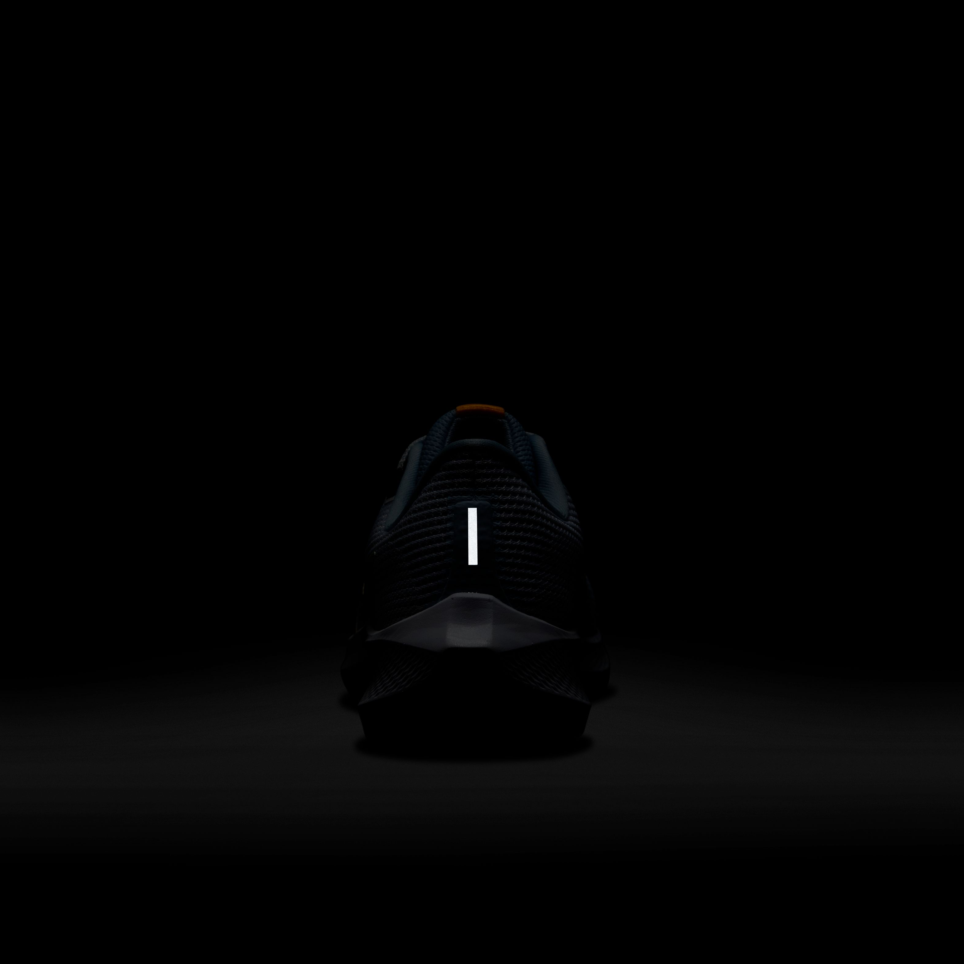 Nike Pegasus 40 Road Running Kadın Spor Ayakkabı