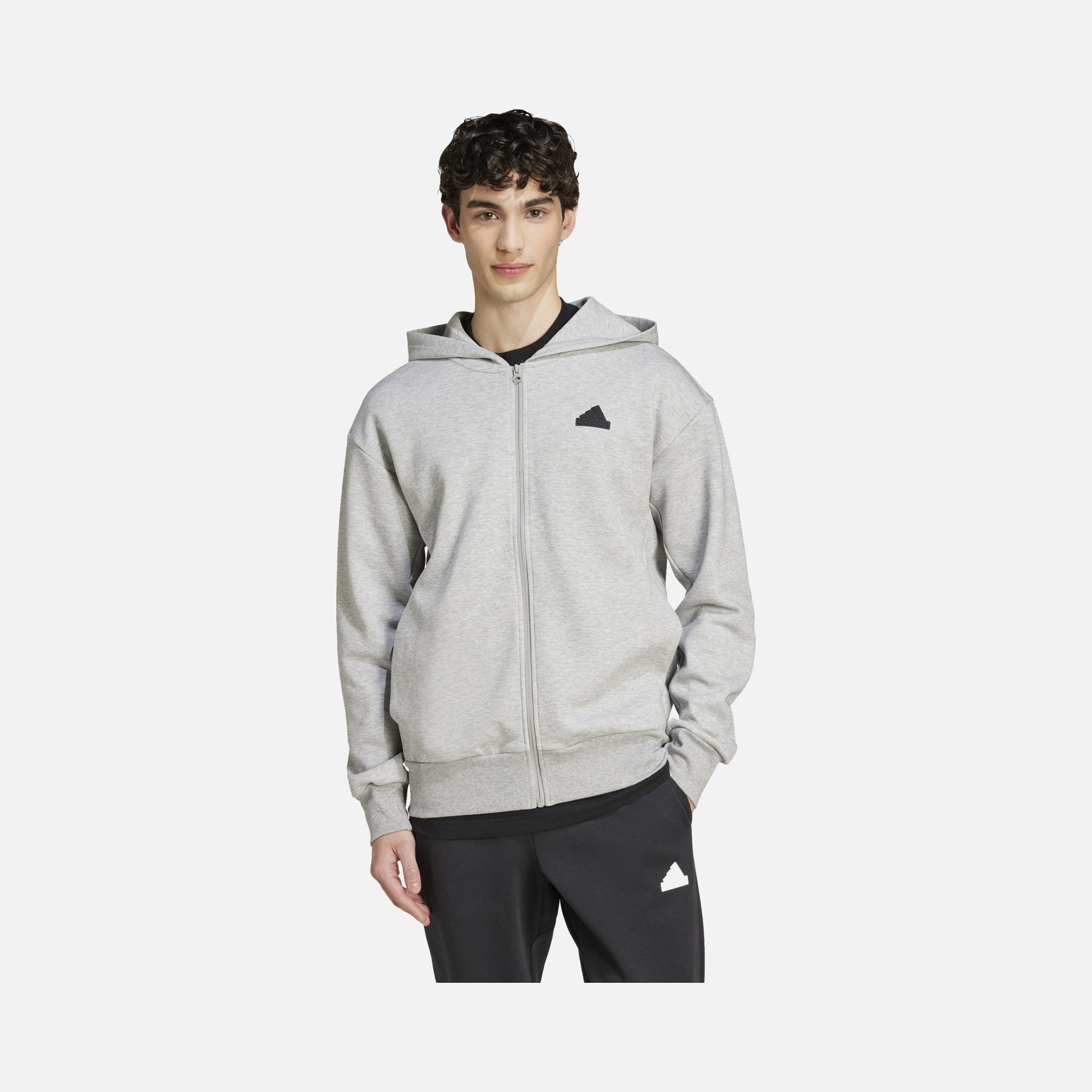 adidas Sportswear Future Icons Doubleknit FW24 Full-Zip Hoodie Erkek Sweatshirt
