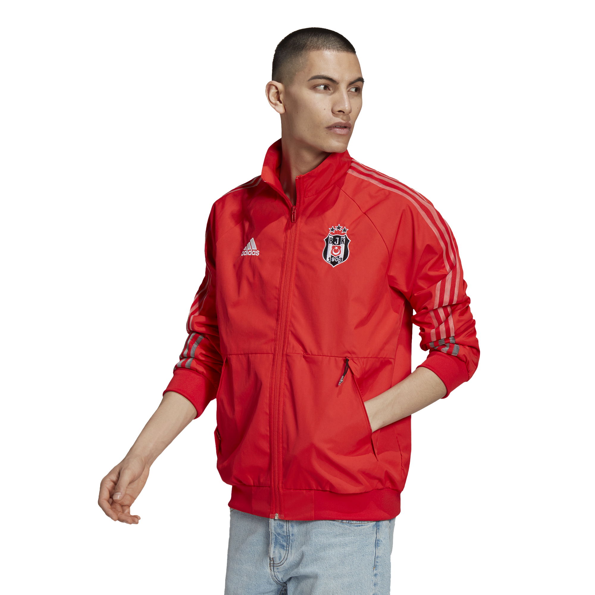 adidas Beşiktaş Anthem Erkek Ceket