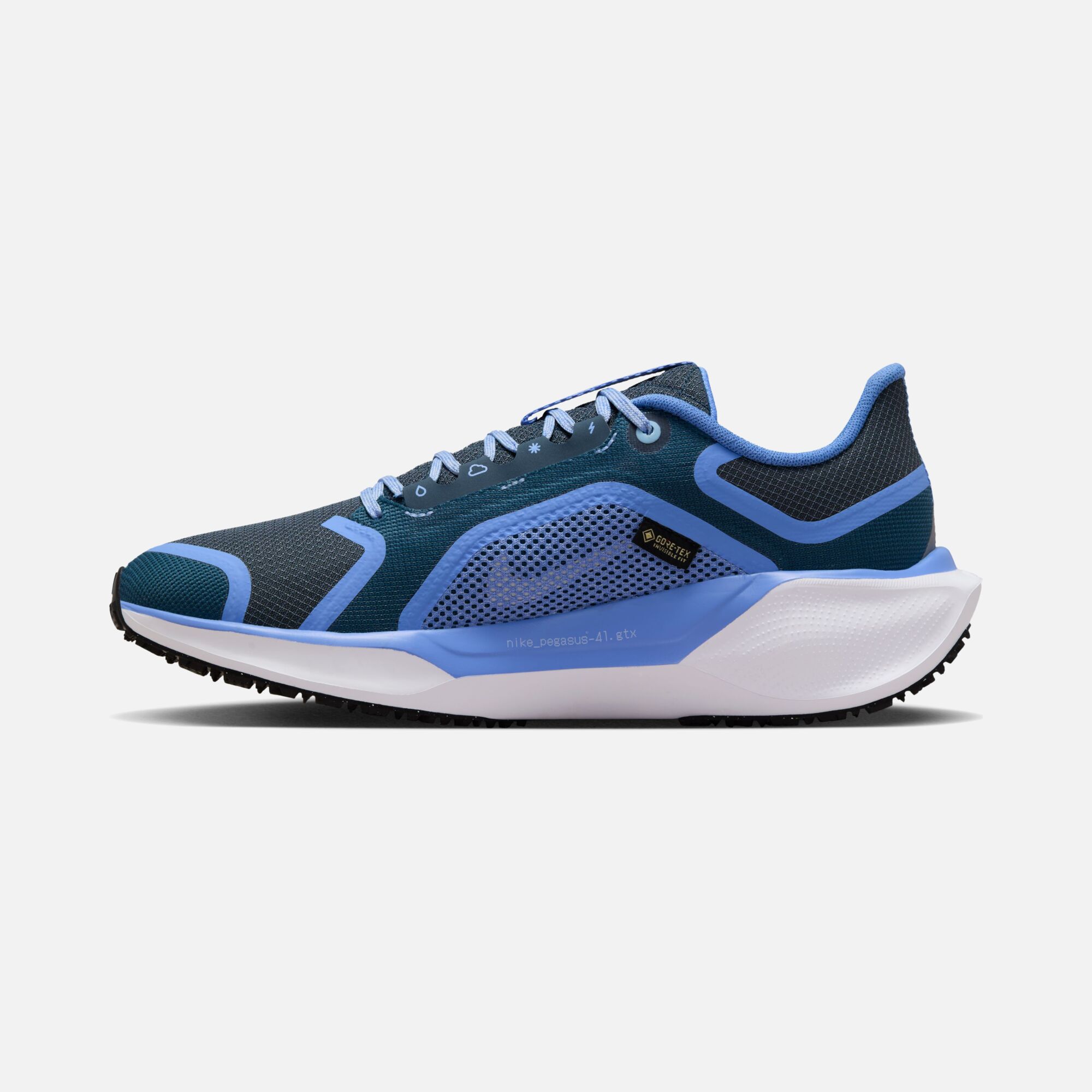 Nike Air Zoom Pegasus 41 Gore-Tex Waterproof Road Running Kadın Spor Ayakkabı