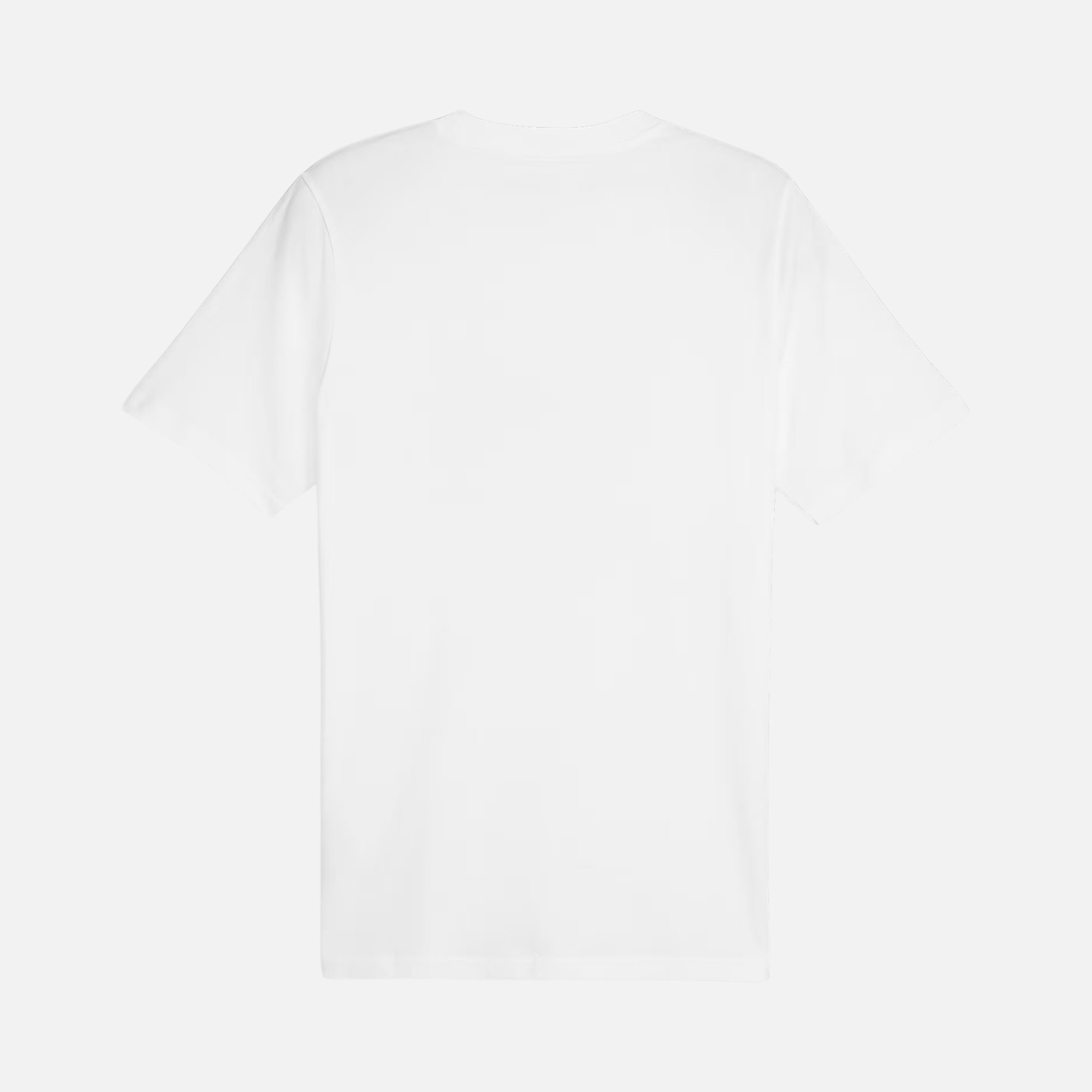 Puma Sportswear Box Graphic Short-Sleeve Erkek Tişört