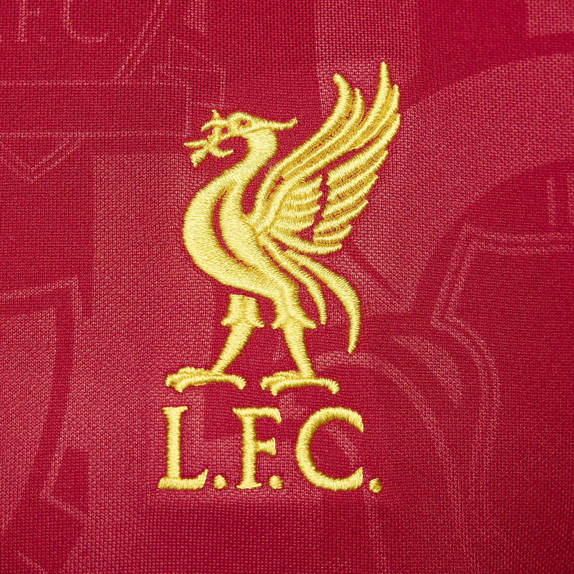 Nike Liverpool F.C. Academy Pro Dri-Fit Football Pre-Match Short-Sleeve Erkek Tişört