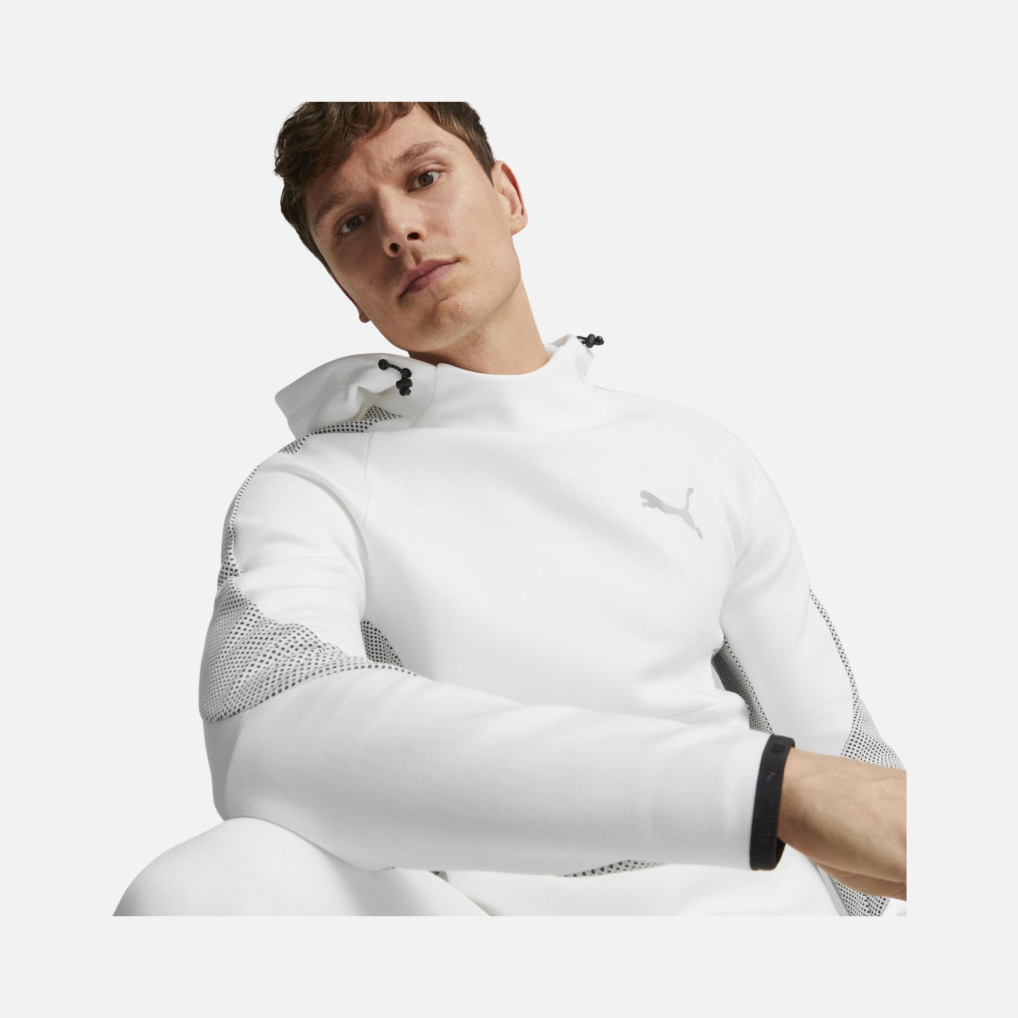 Puma Sportswear Evostripe Dk Hoodie Erkek Sweatshirt