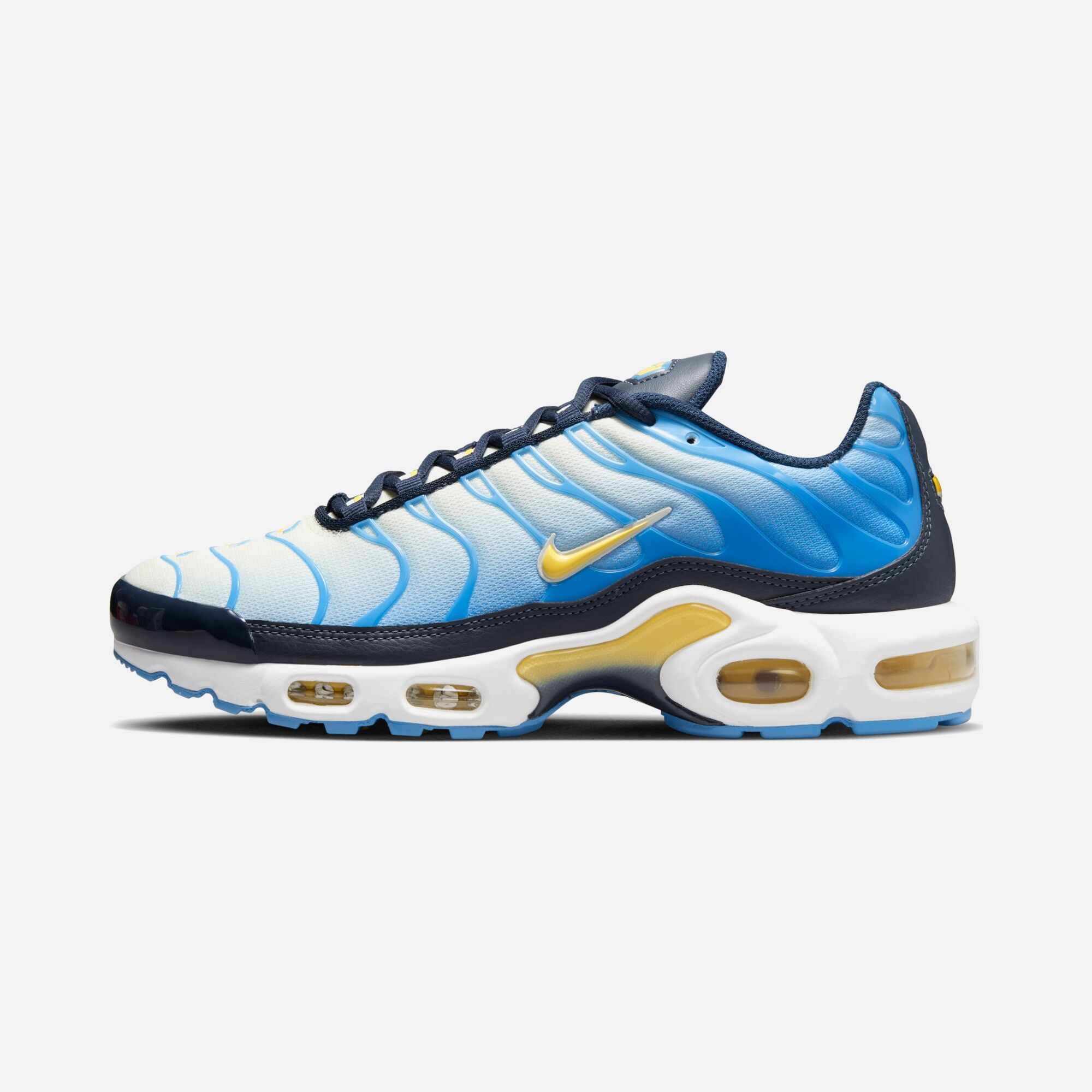 Nike Air Max Plus TN SP23 Kadın Spor Ayakkabı