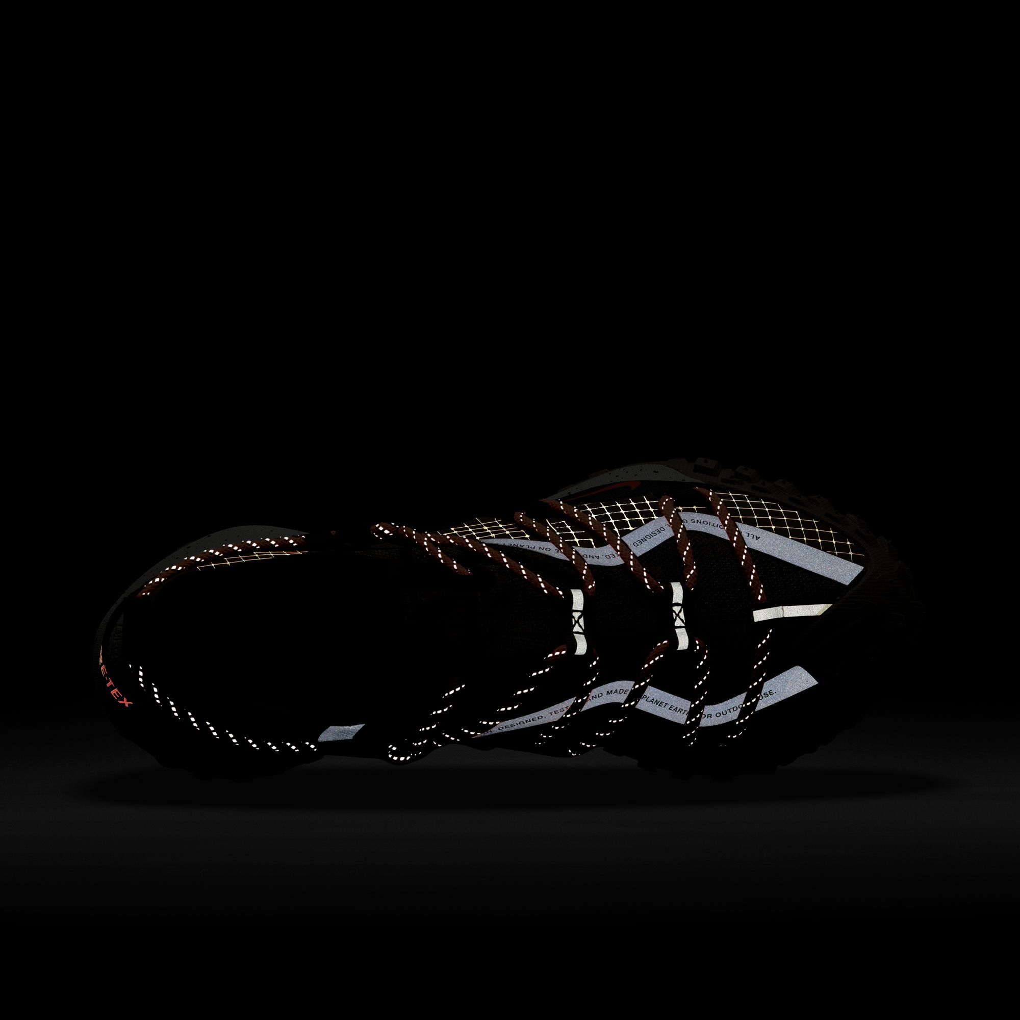 Nike ACG Mountain Fly Low Gore-Tex SE Erkek Spor Ayakkabı