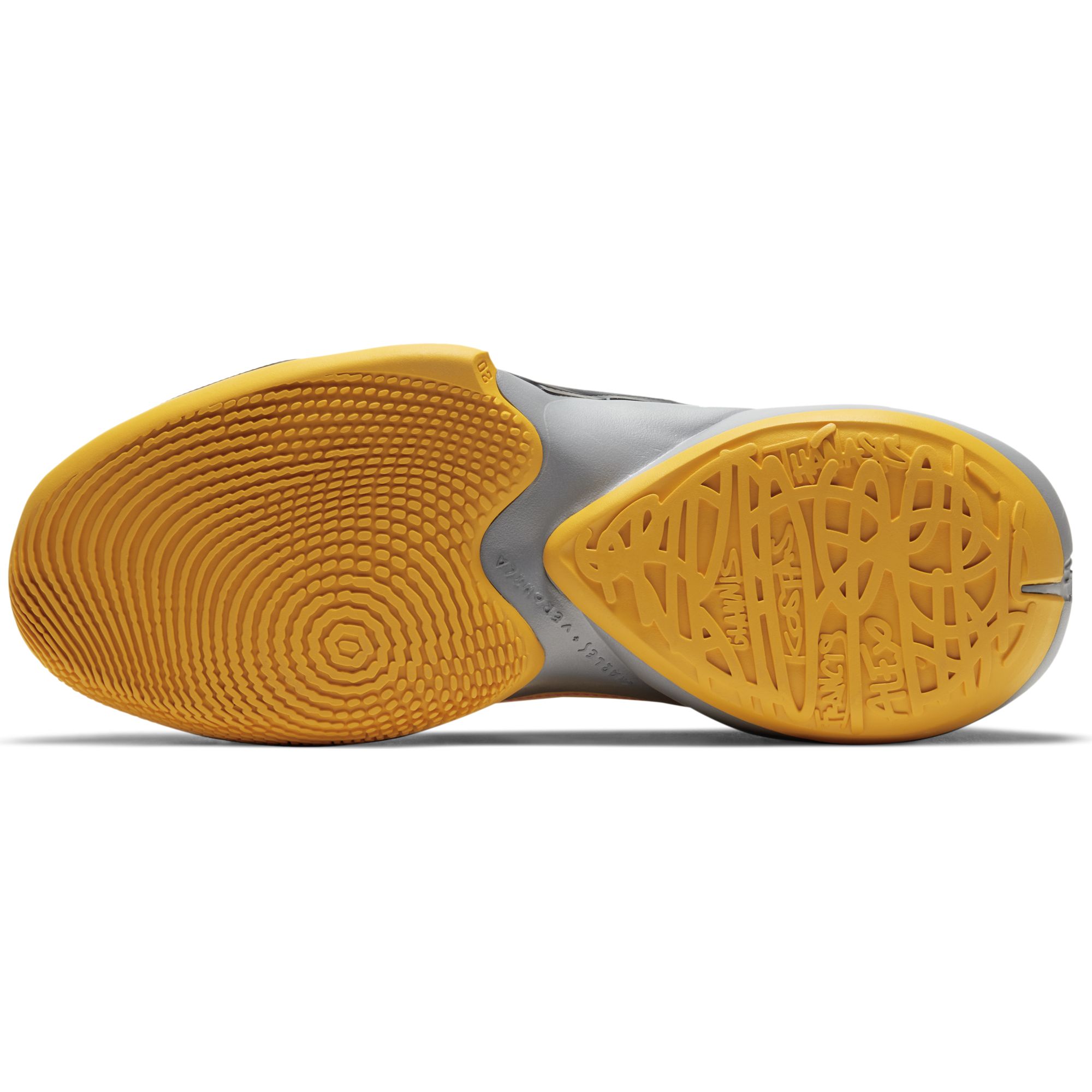 Nike Zoom Freak 2 Erkek Basketbol Ayakkabısı