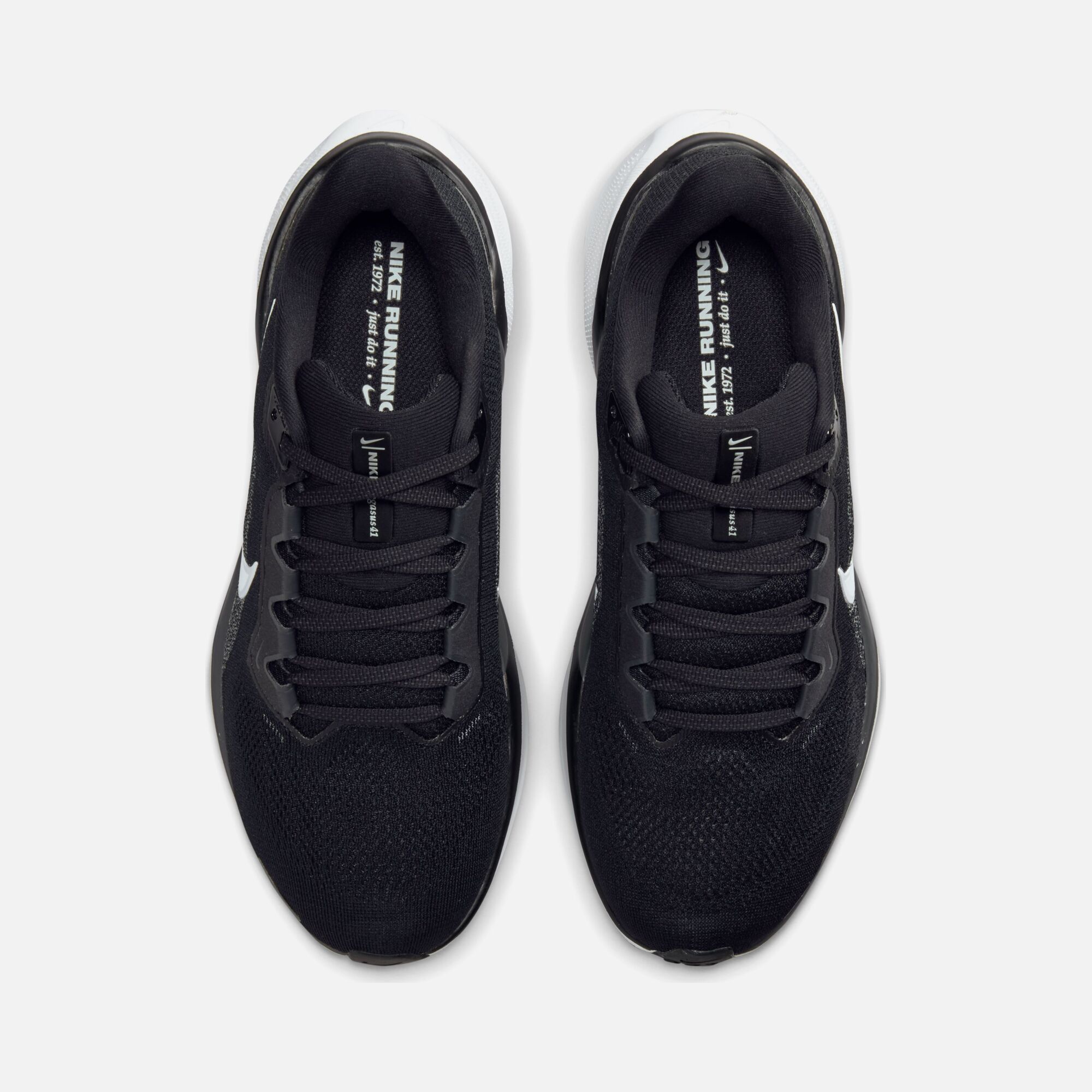 Nike Air Zoom Pegasus 41 Road Running Kadın Spor Ayakkabı