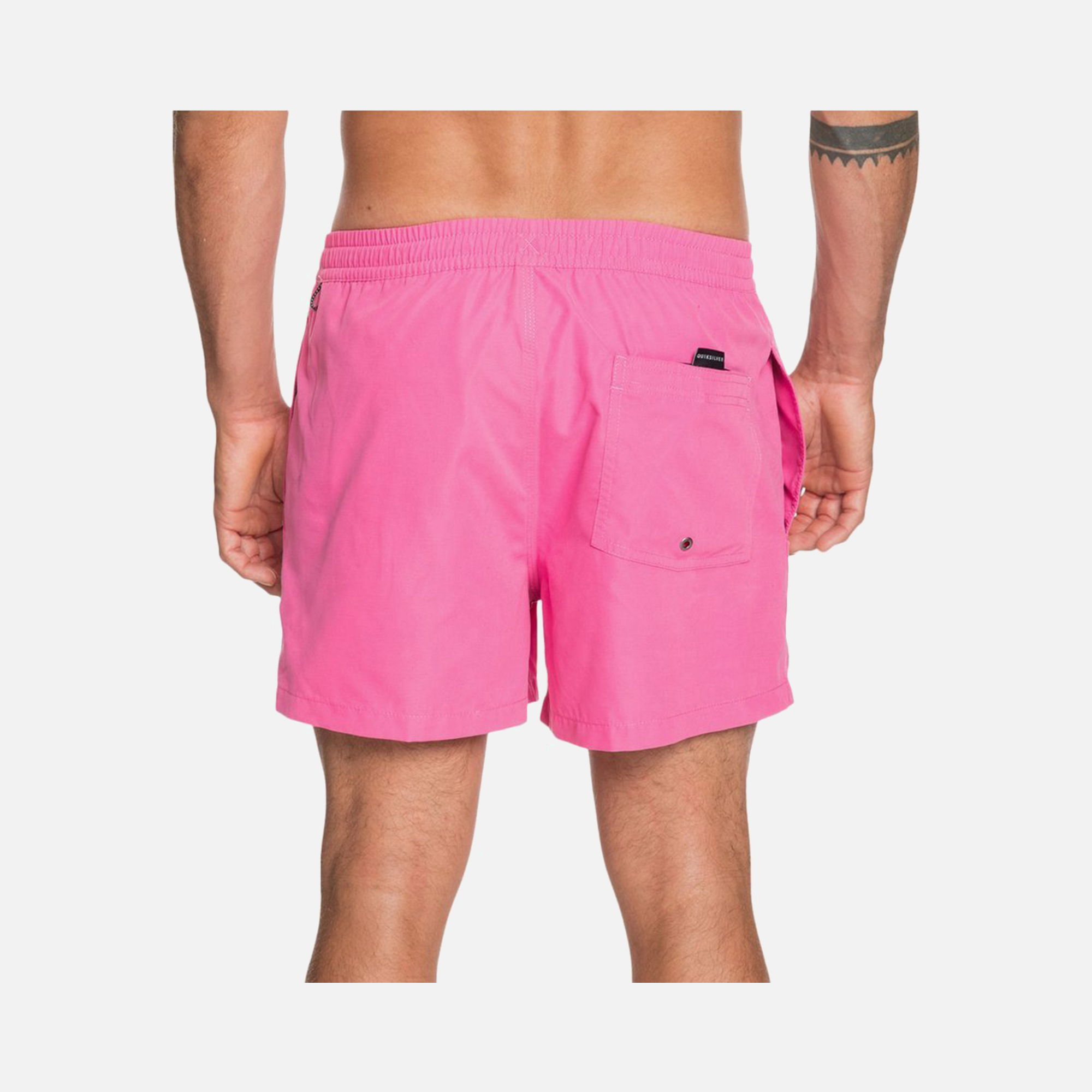 Quiksilver Everyday 15'' Erkek Şort Mayo