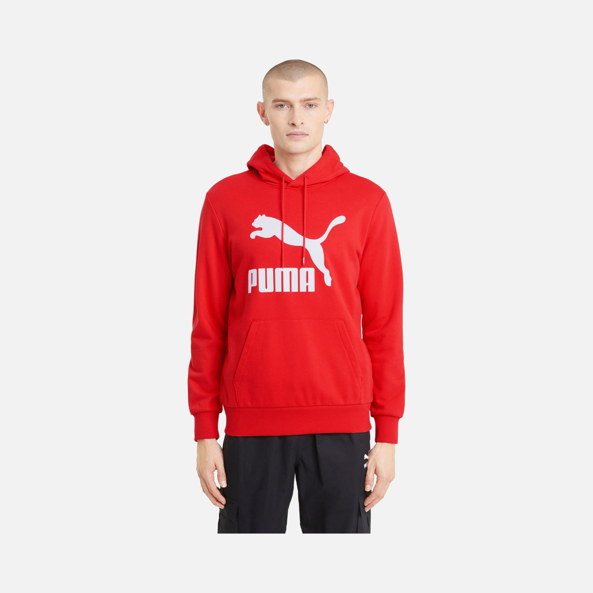 Puma Sportswear Classics Graphic Logo Hoodie Erkek Sweatshirt