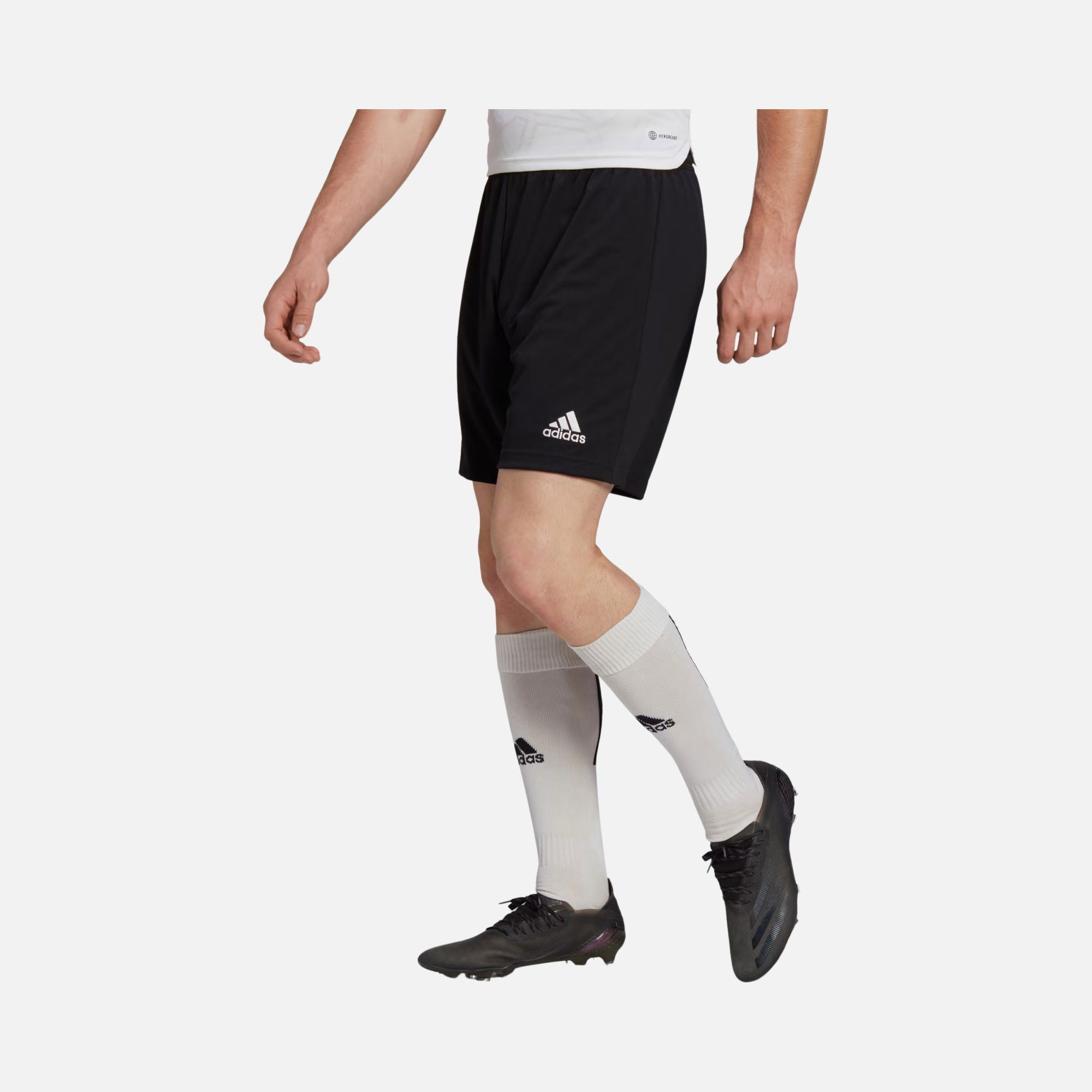 adidas Entrada 22 Erkek Şort