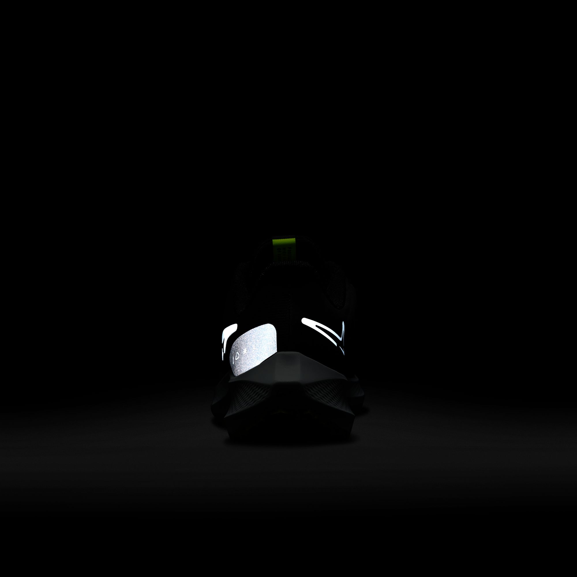 Nike Air Zoom Pegasus 39 Shield Weatherised Road Running Kadın Spor Ayakkabı