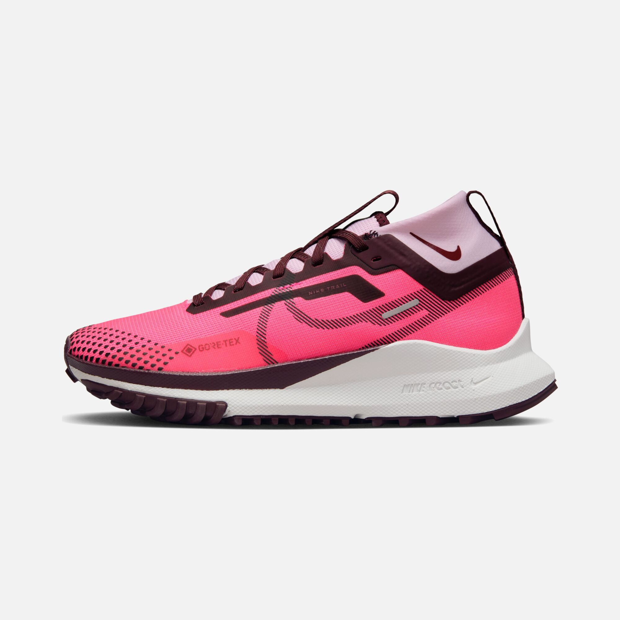 Nike Pegasus Trail 4 Gore-Tex Trail-Running FA23 Kadın Spor Ayakkabı