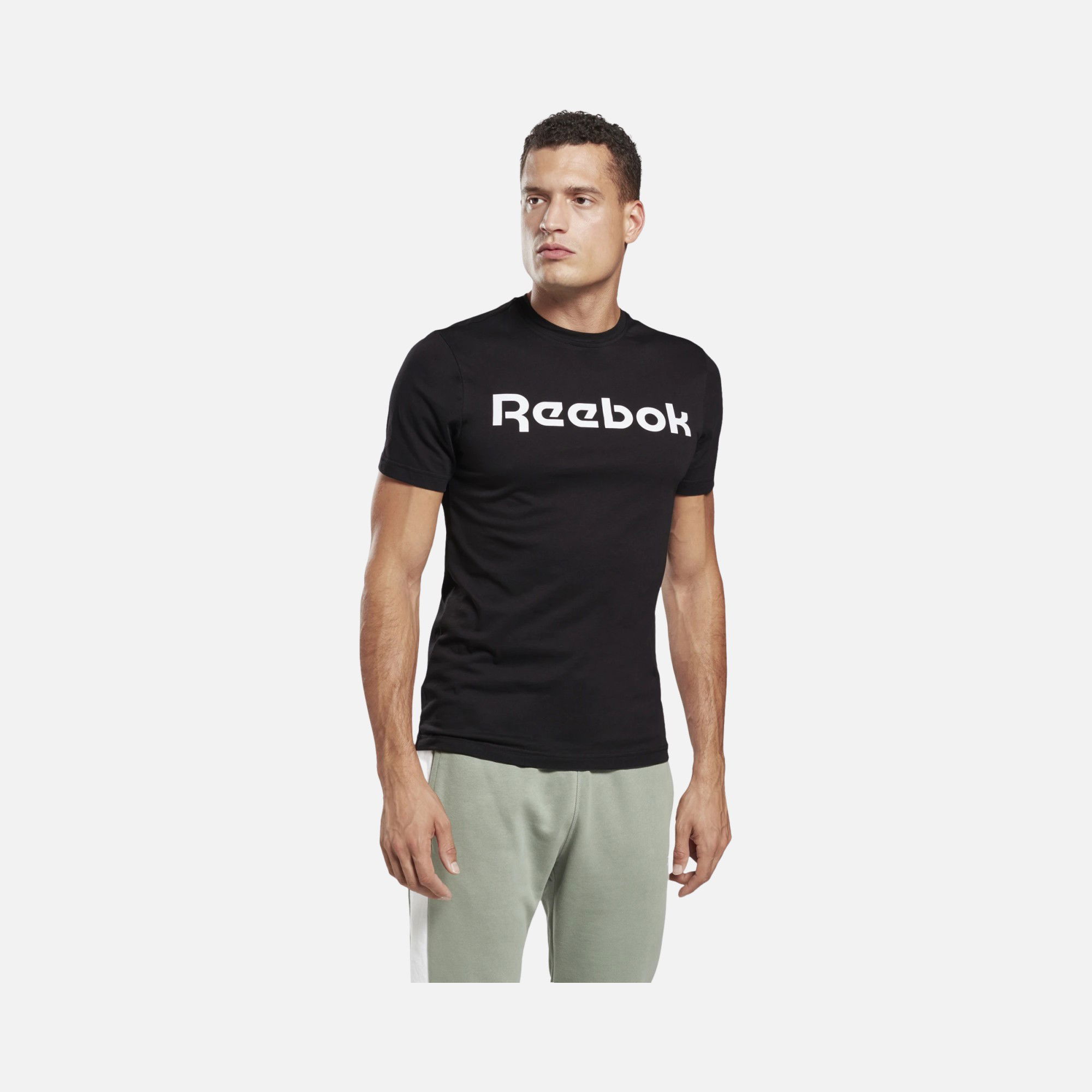 Reebok Sportswear Graphic Logo Series Linear Short-Sleeve Erkek Tişört