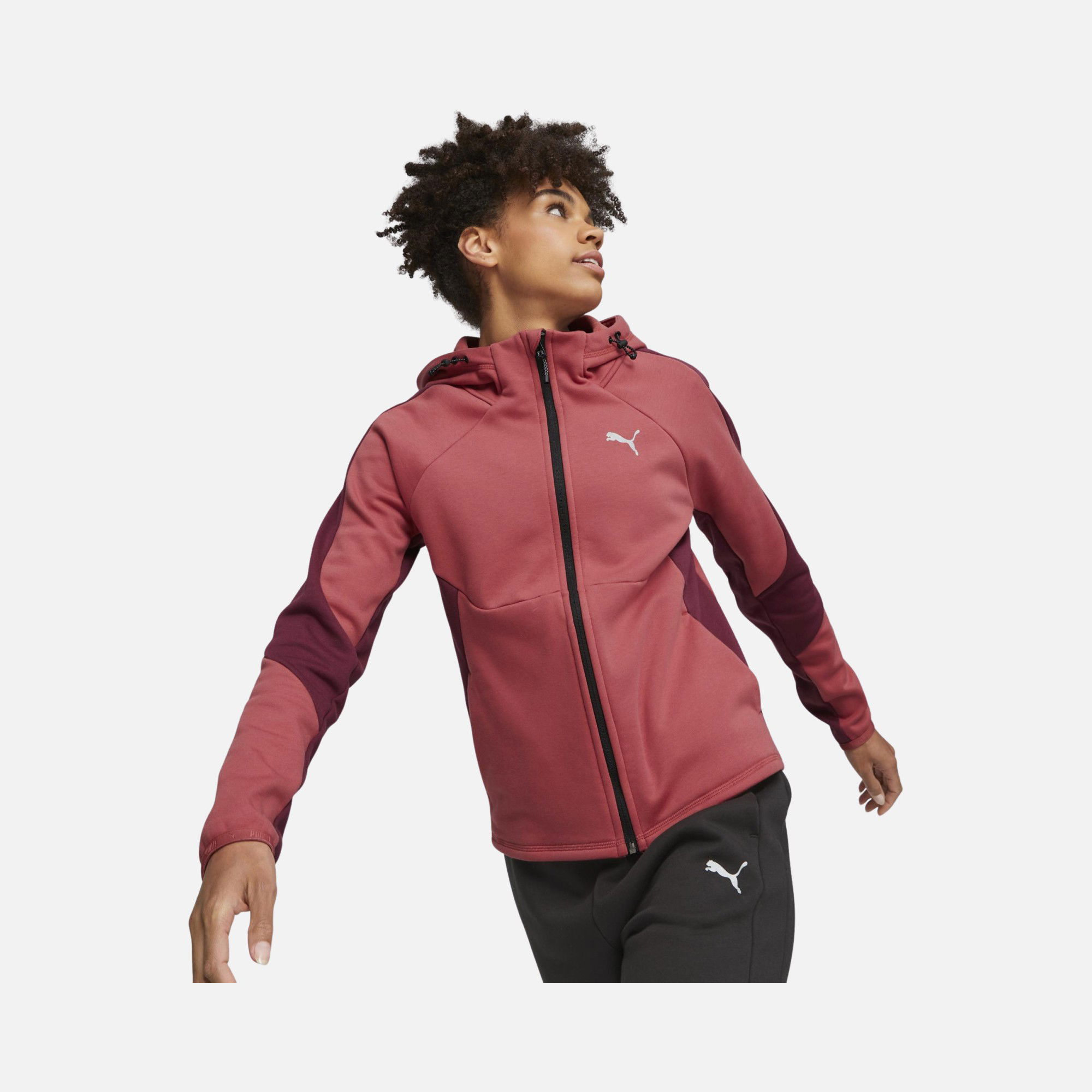 Puma Sportswear Evostripe Winterized Full-Zip Hoodie Erkek Sweatshirt