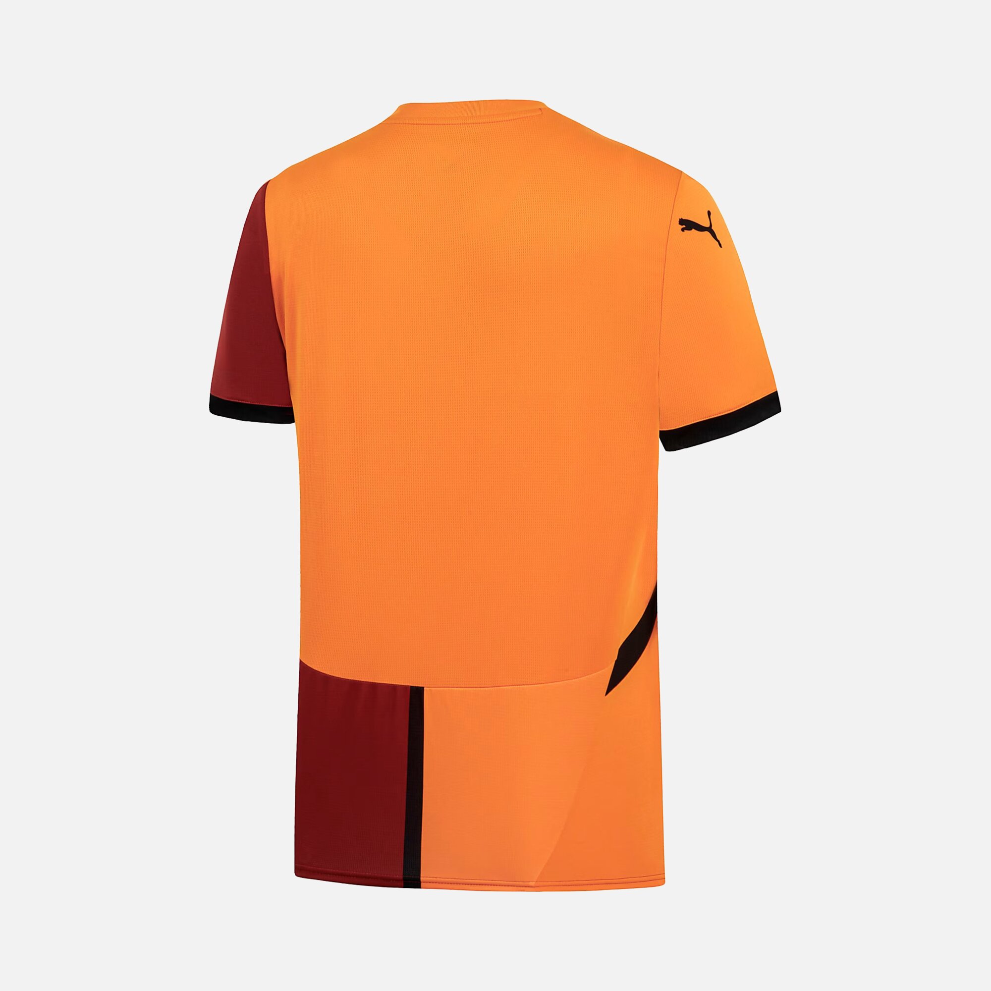 Puma Galatasaray 2024-2025 Stadium İç Saha Erkek Forma