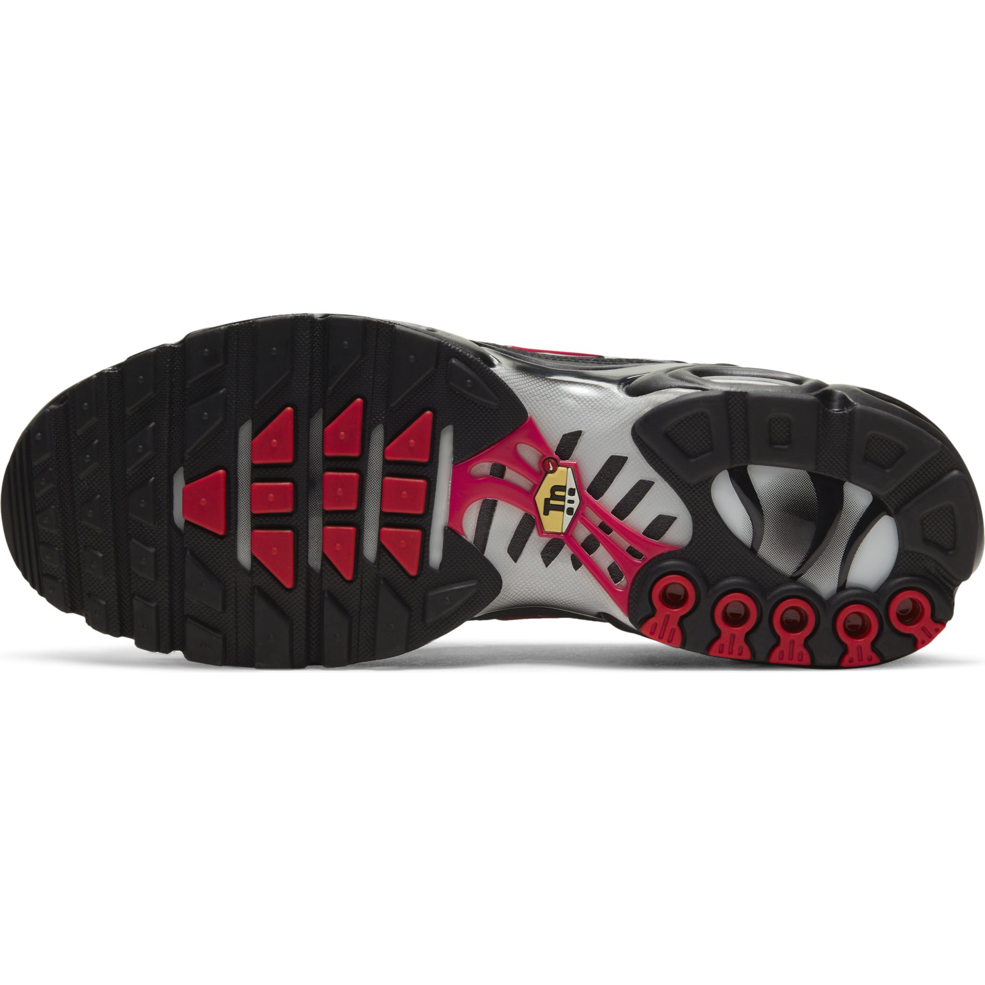 Nike Air Max Plus Erkek Spor Ayakkabı