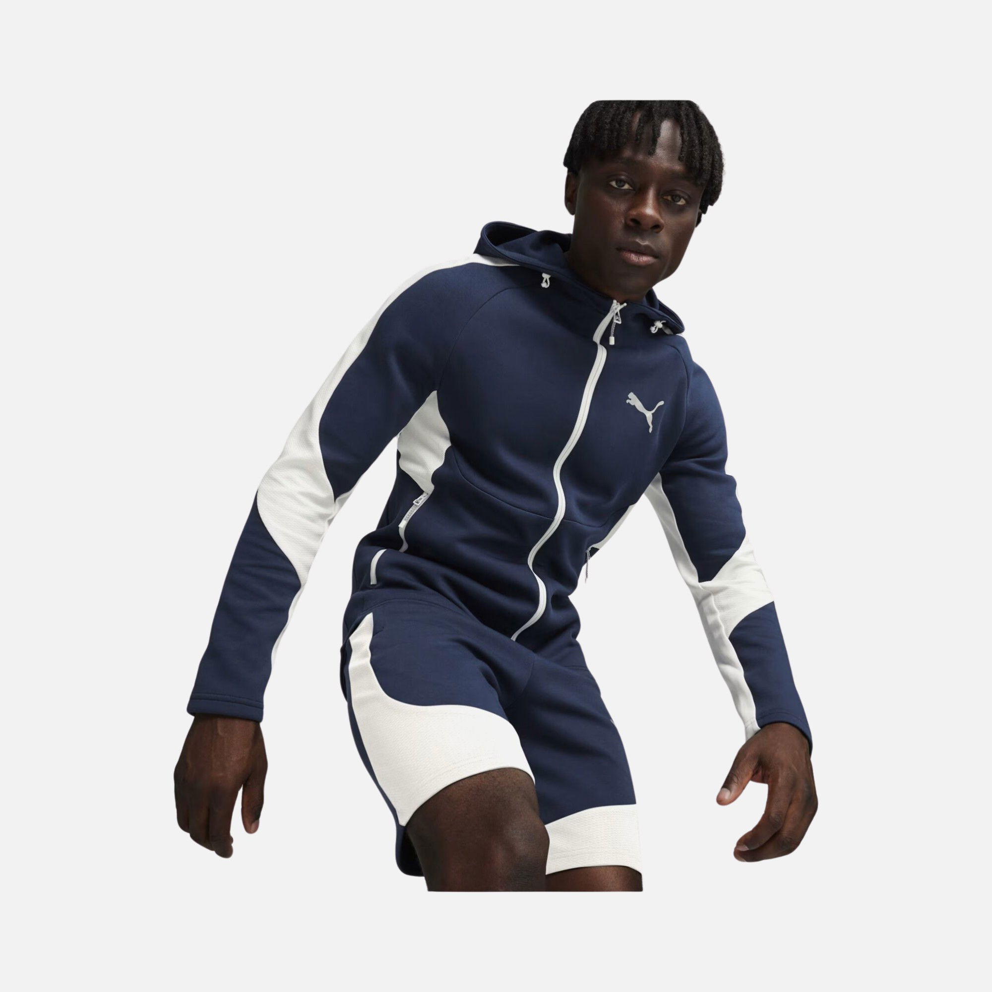 Puma Sportswear EVOSTRIPE Full-Zip Hoodie Erkek Sweatshirt