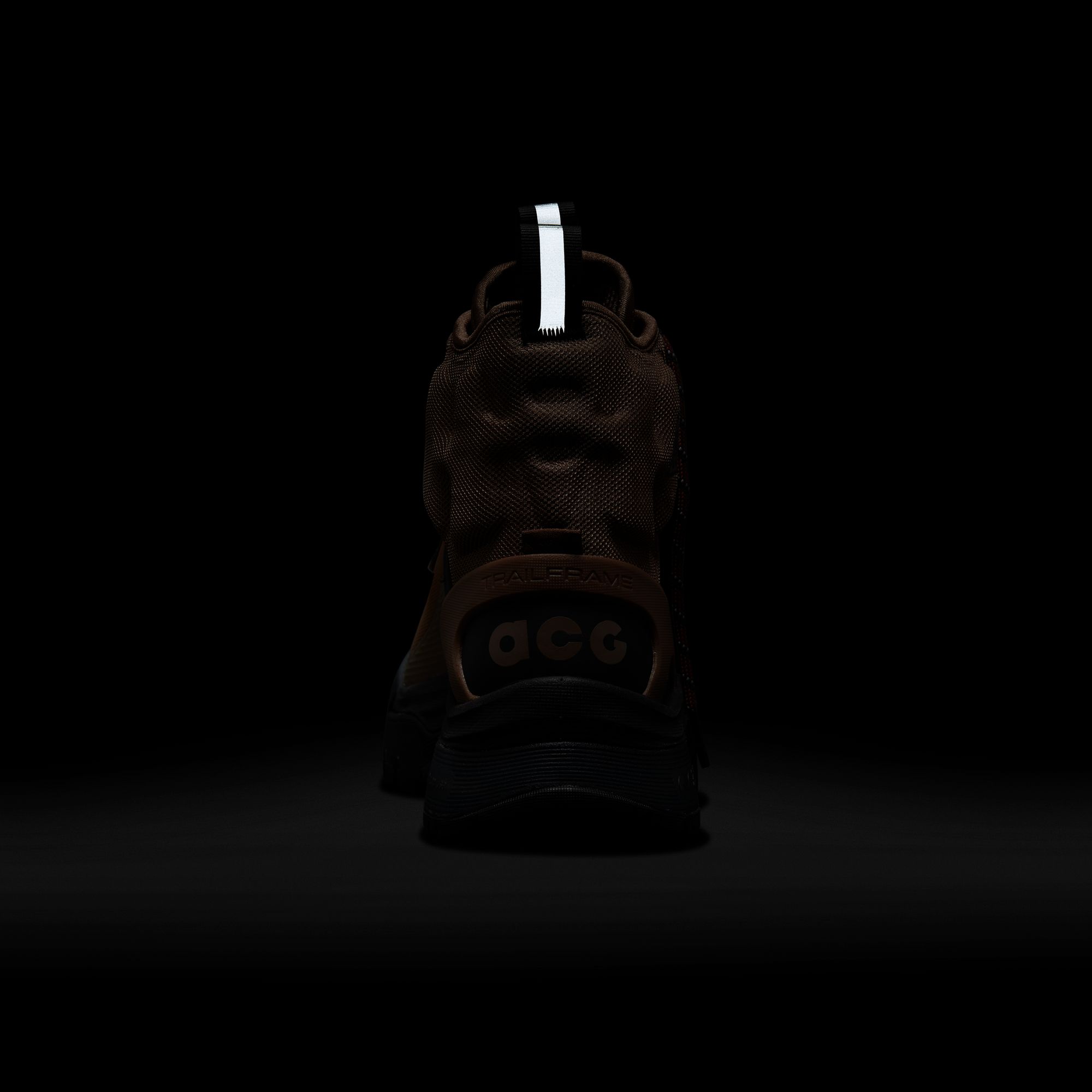 Nike ACG Zoom Gaiadome Gore-Tex Erkek Bot