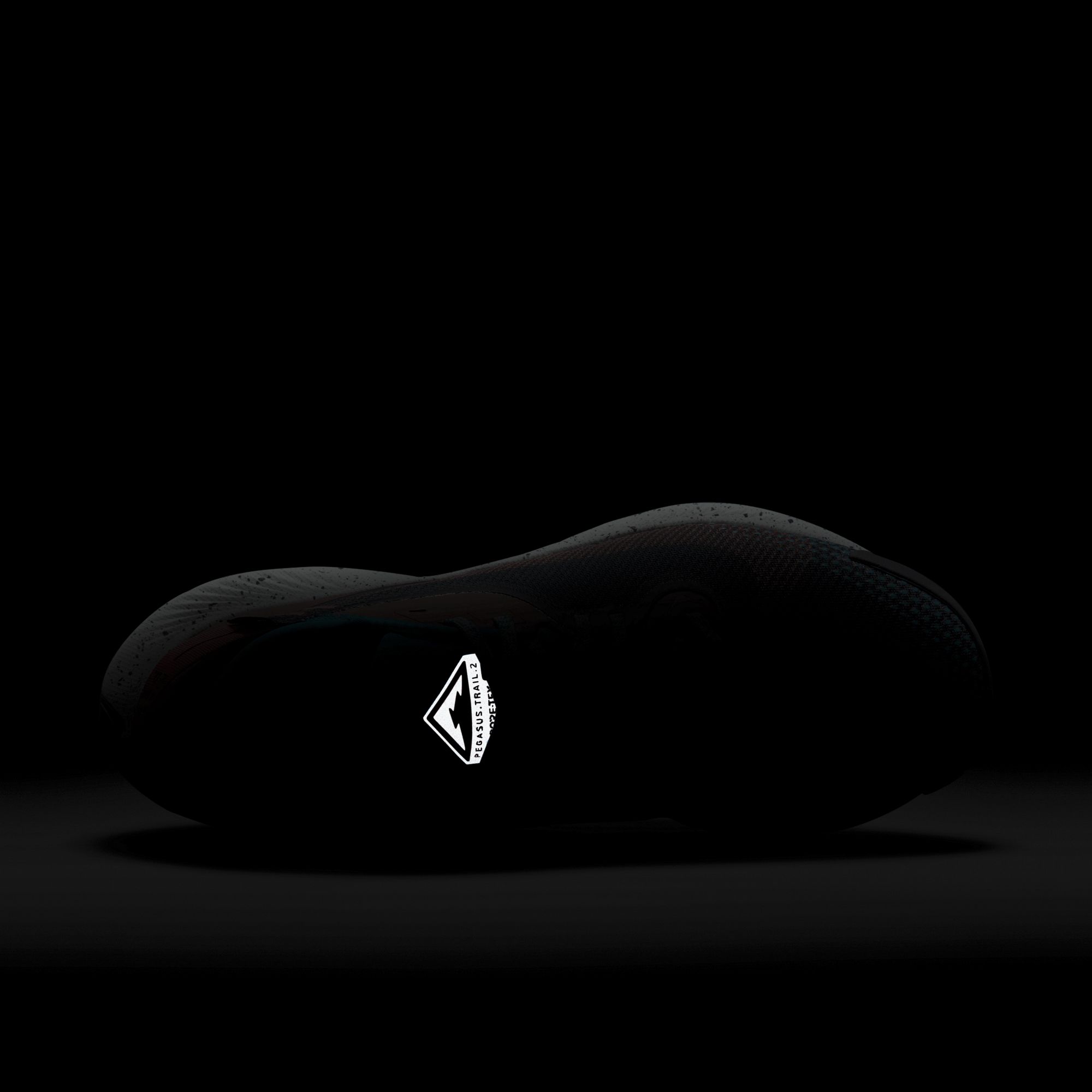 Nike Pegasus Trail 2 Gore-Tex Trail Running Erkek Spor Ayakkabı