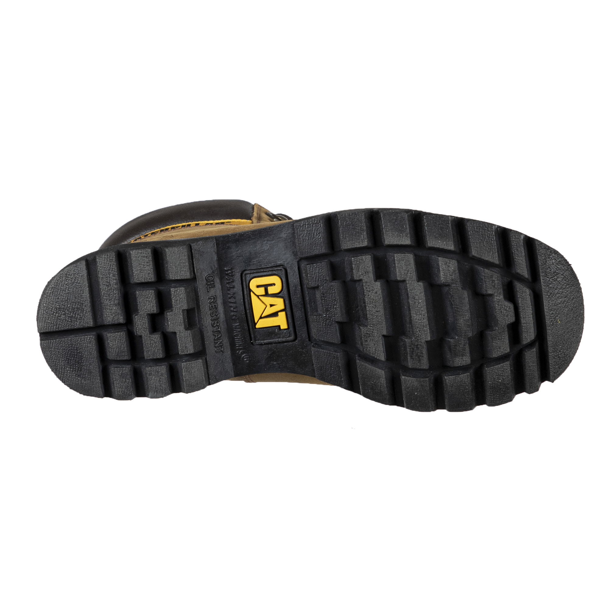 Cat Colorado '19 Erkek Bot