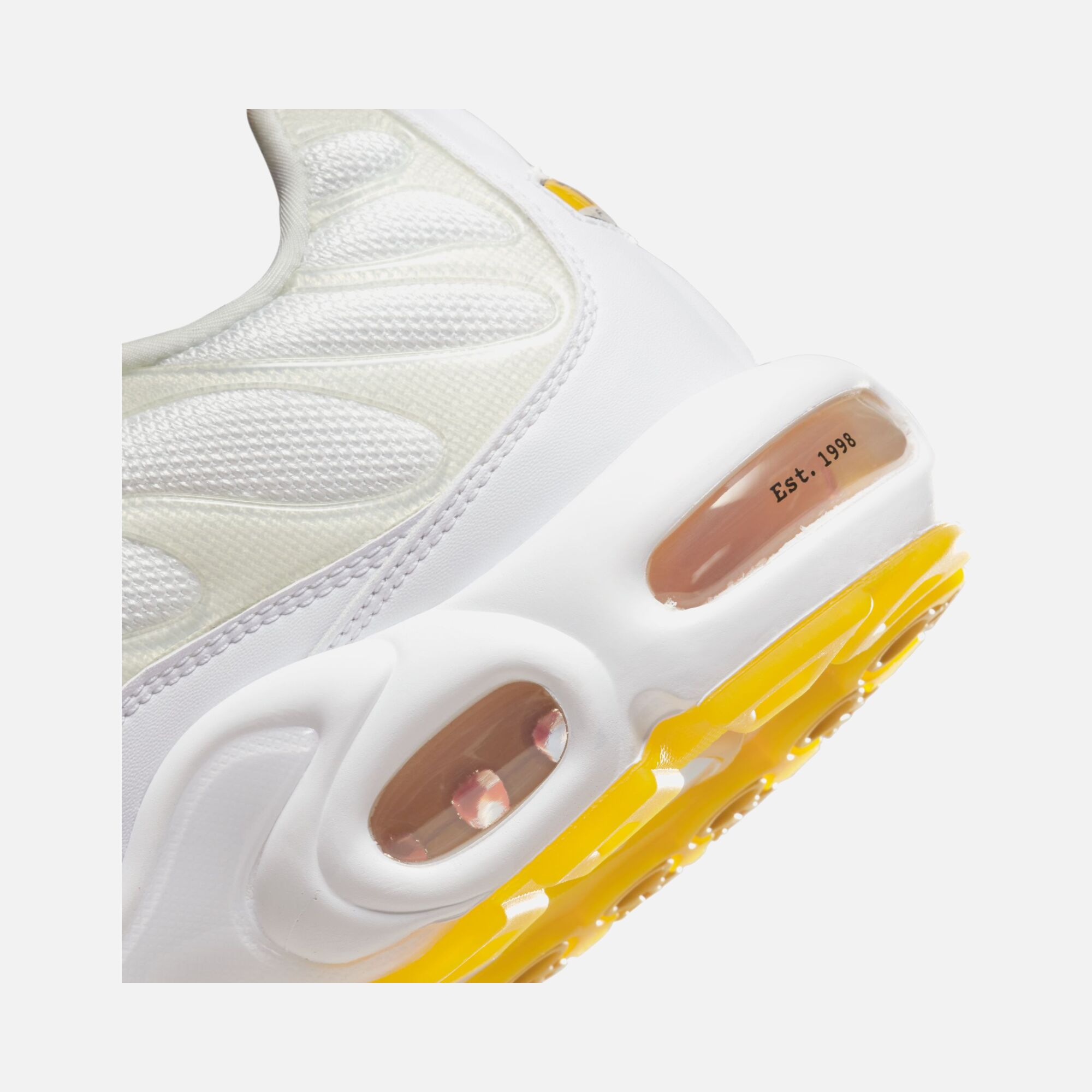 Nike Air Max Plus SE FW22 Erkek Spor Ayakkabı