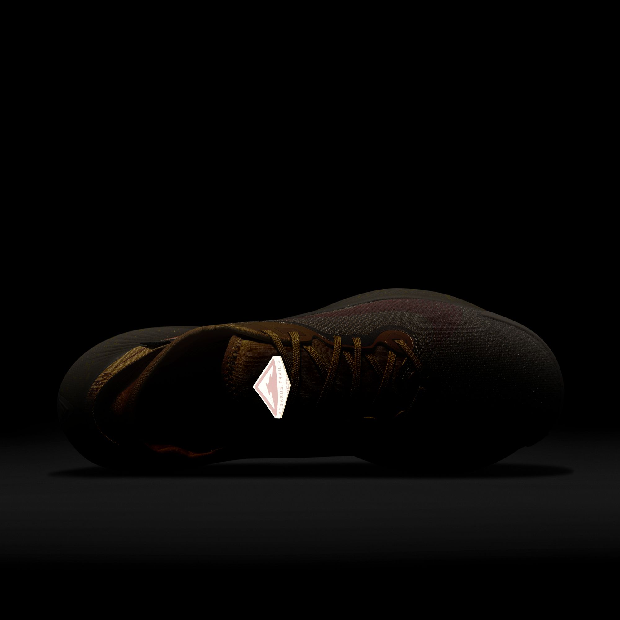 Nike Pegasus Trail 2 Gore-Tex Erkek Spor Ayakkabı