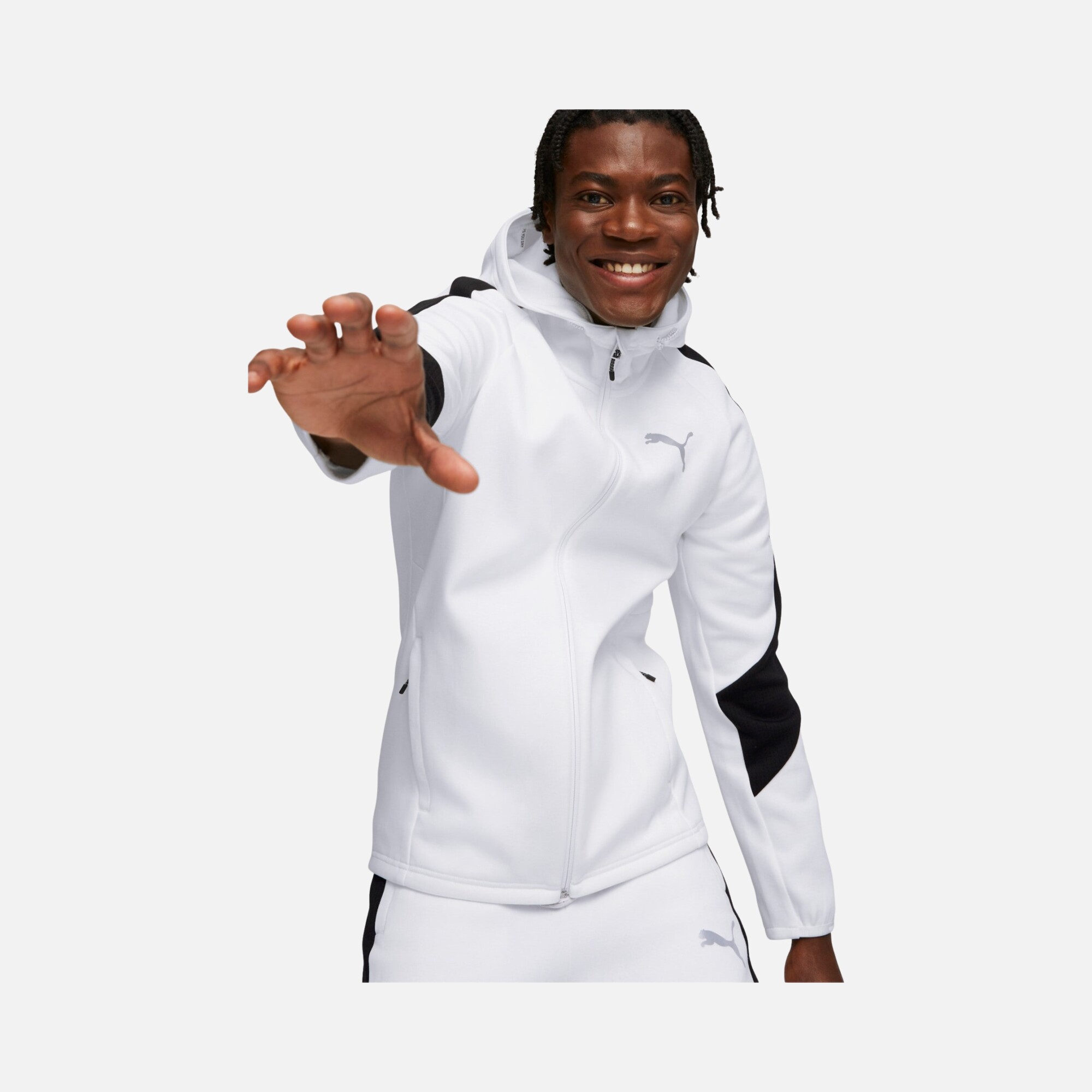 Puma Sportswear Evostripe Full-Zip Hoodie Erkek Sweatshirt