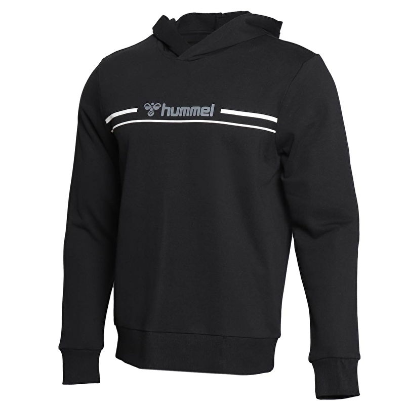 Hummel Dorio Hoodie Erkek Sweatshirt
